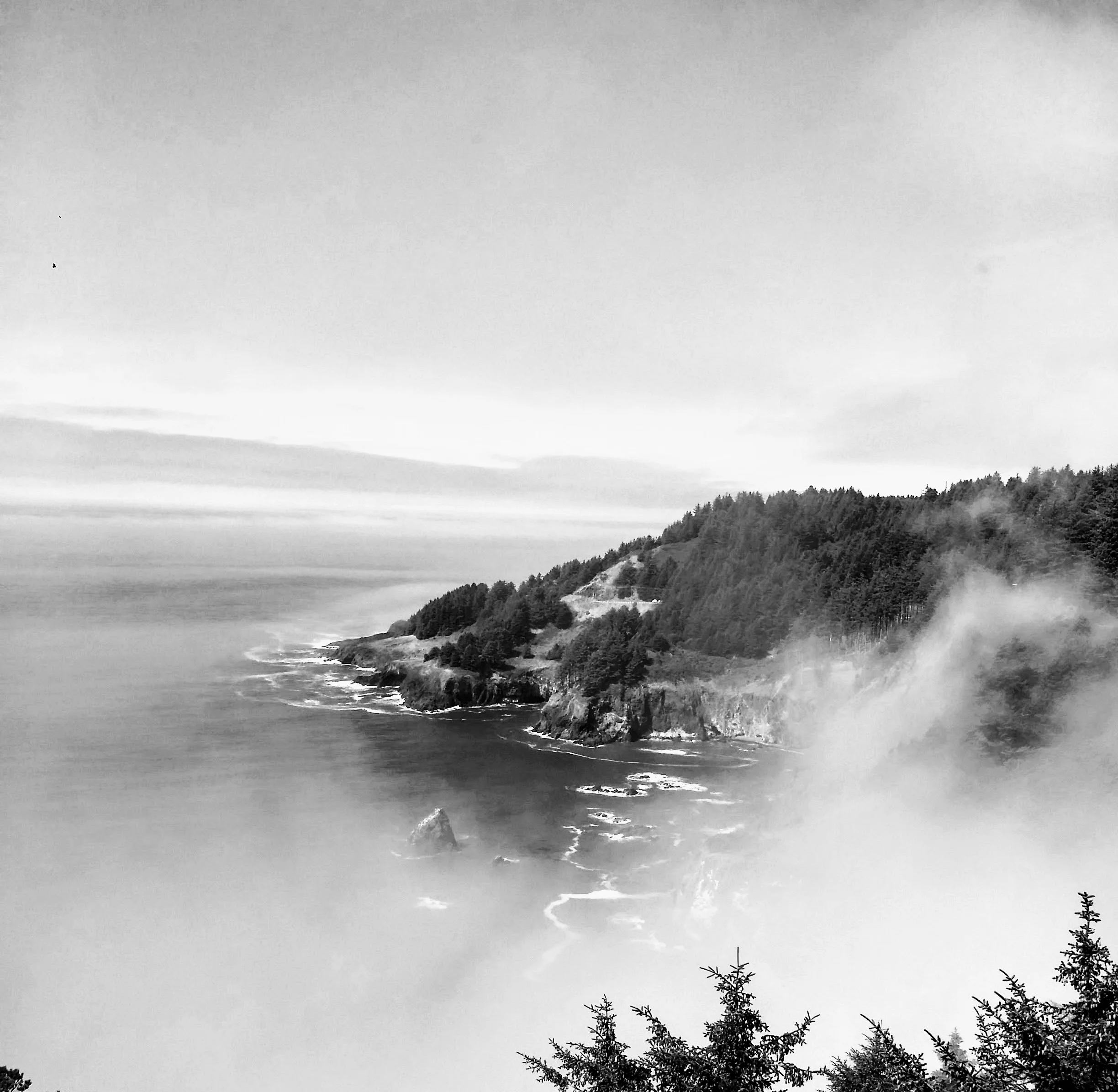 20170822_144759-EFFECTS.jpg