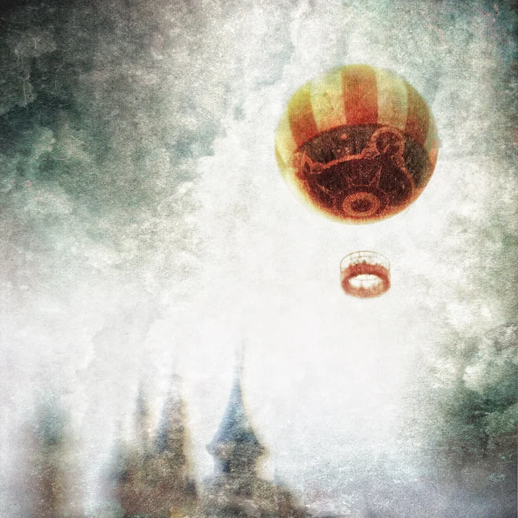 Leaving Wonderland