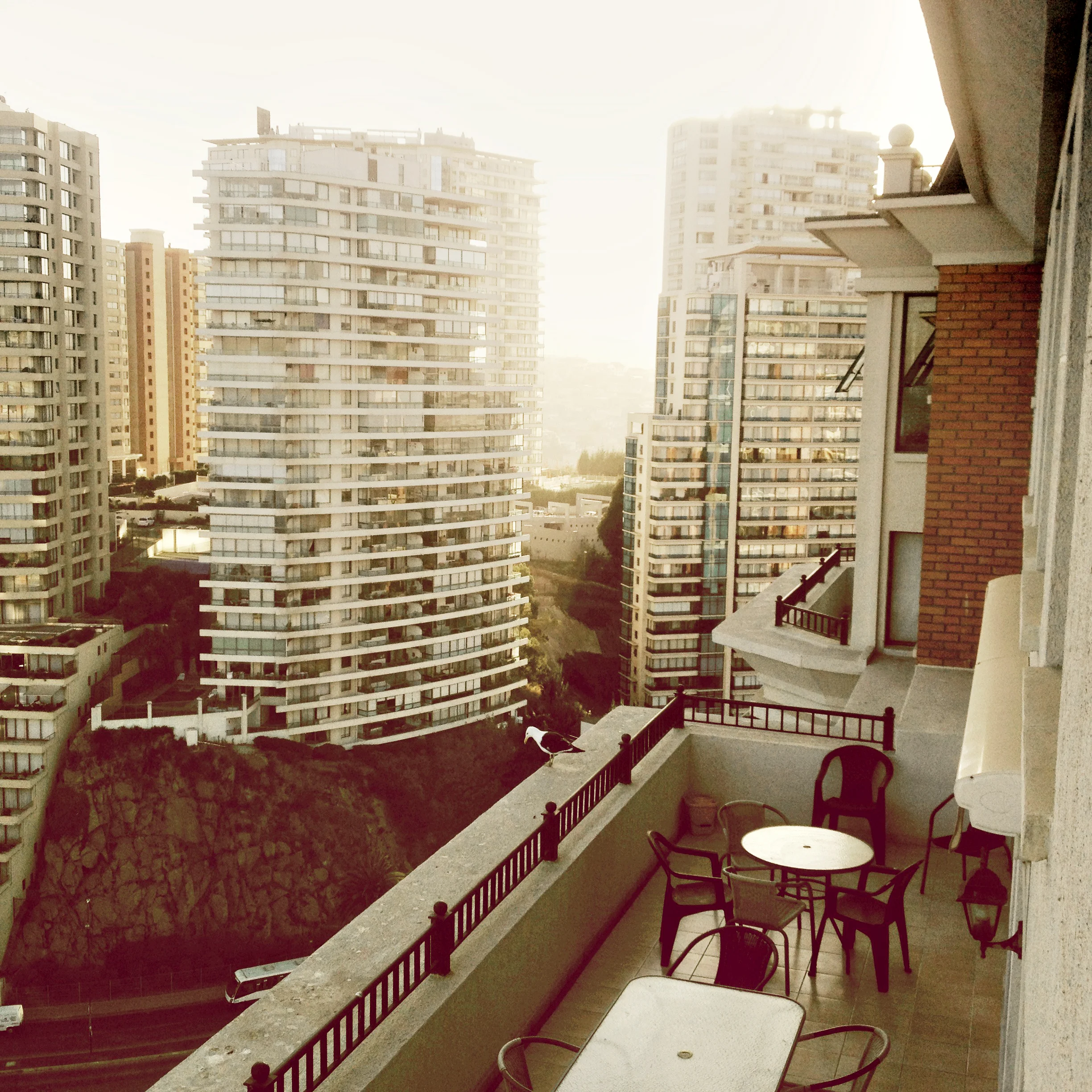 My image of Vina del Mar, Chile