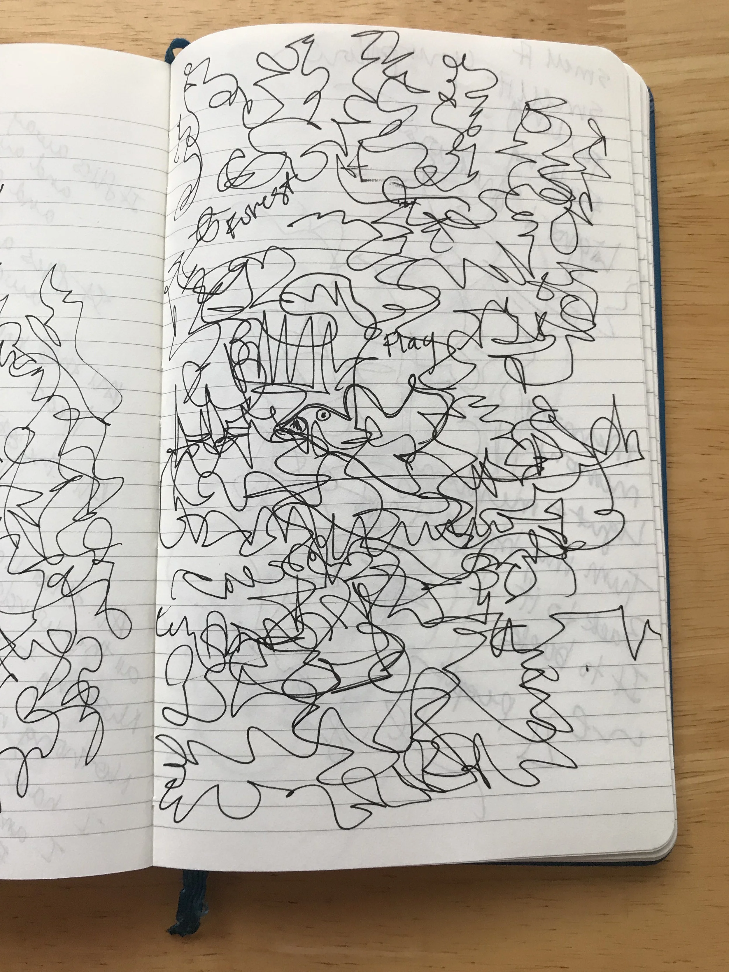 bipolar journal.jpg