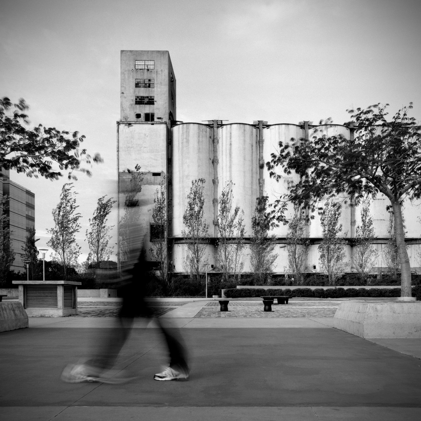 Park, Puerto Madero