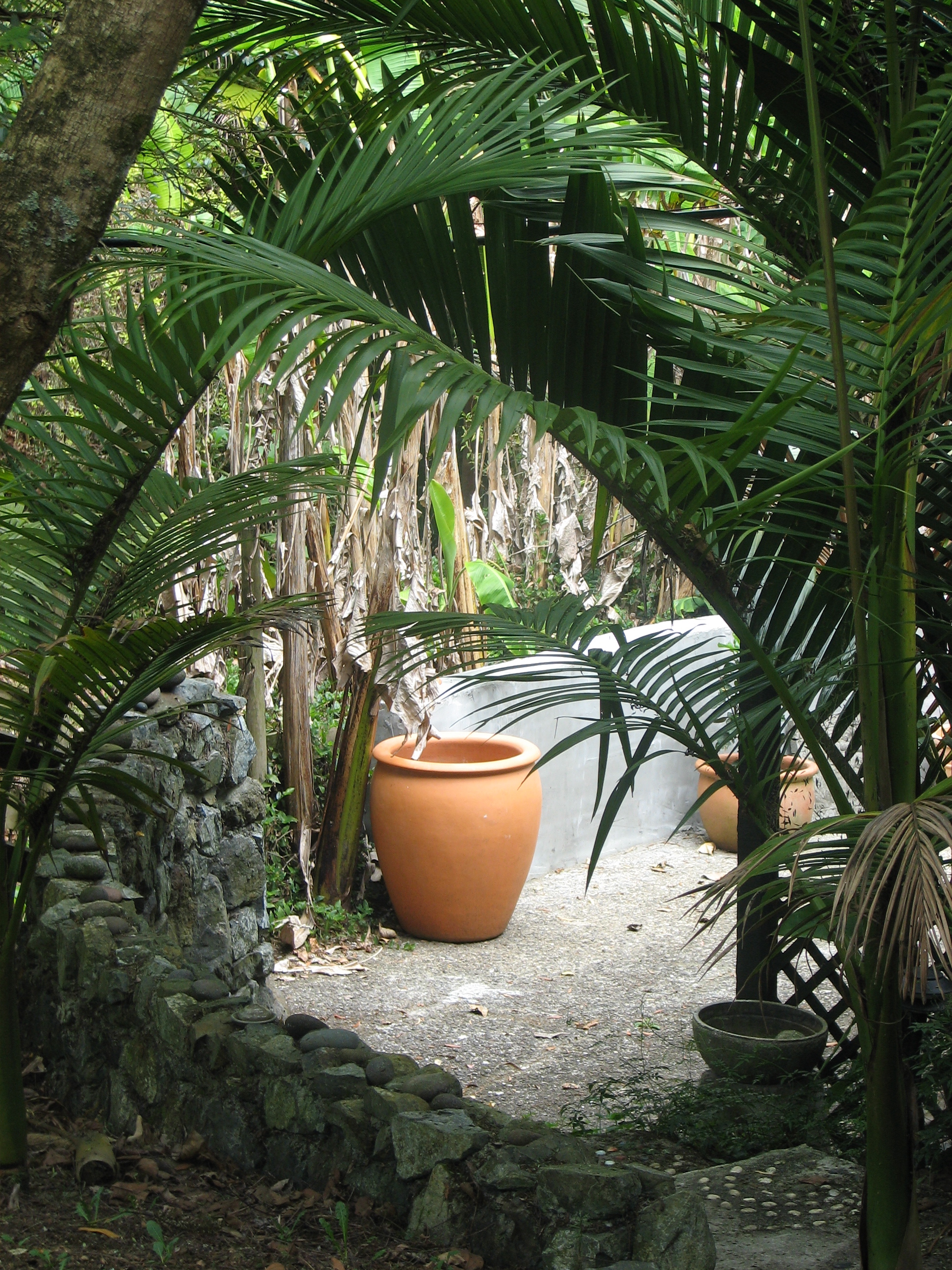 mindfulness retreats.JPG