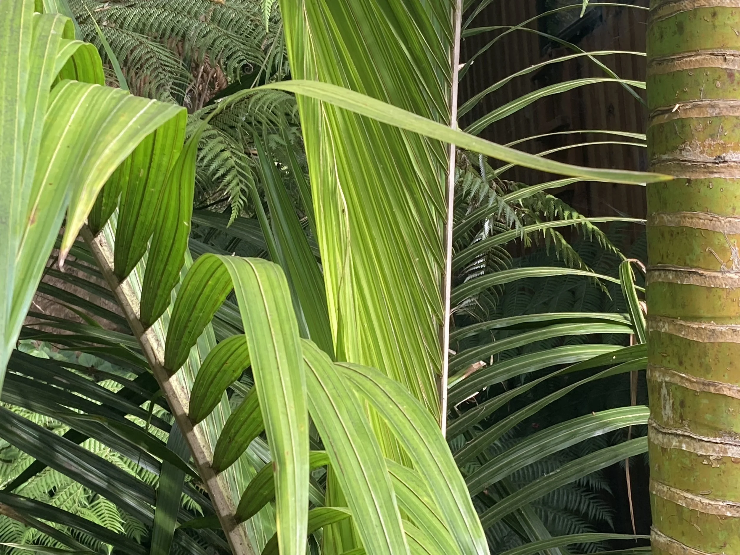 Craniosacral therapy near Wellington