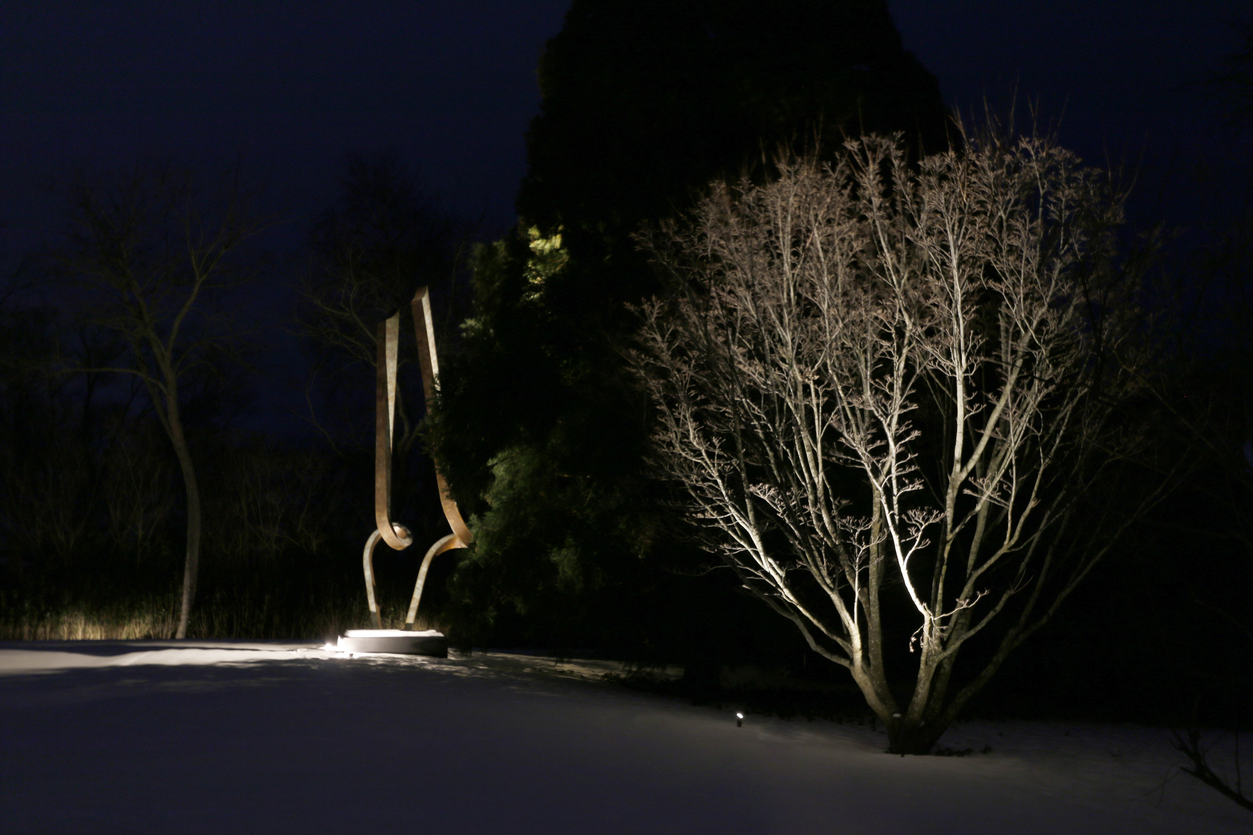 Tree and Sculpture.jpg