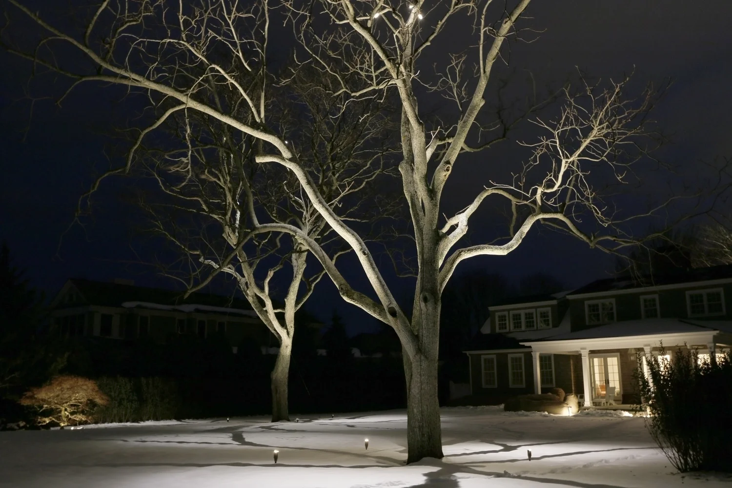 Outdoor lighting on trees and house exterior at Watermill Hamptons estate — warm uplighting on mature oaks at dusk