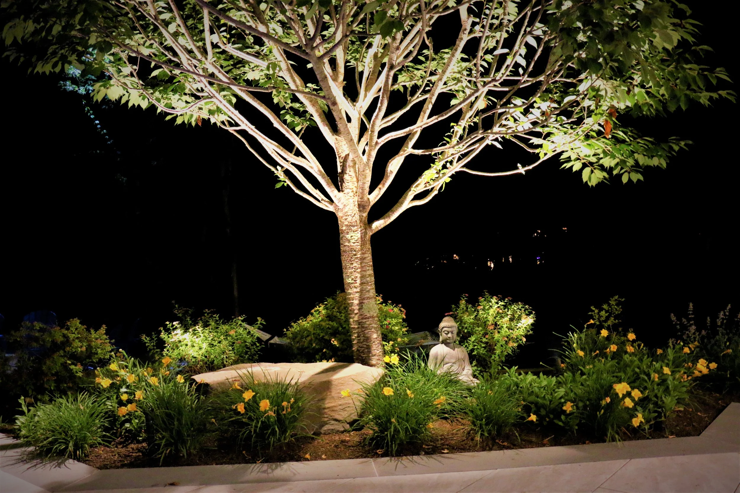Tree and landscape lighting in full color at night