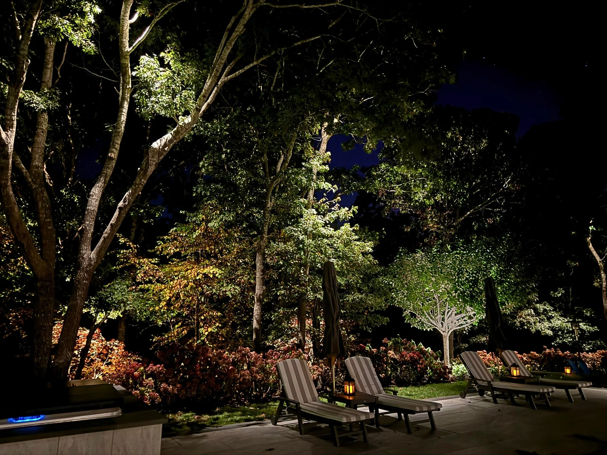 Fall brings out some of the most beautiful textures and colors in the landscape. 

Lighting can capture the sculptural branches, the vibrant foliage, and the quiet elegance of a garden at night. There is nothing quite like stepping outside and seeing