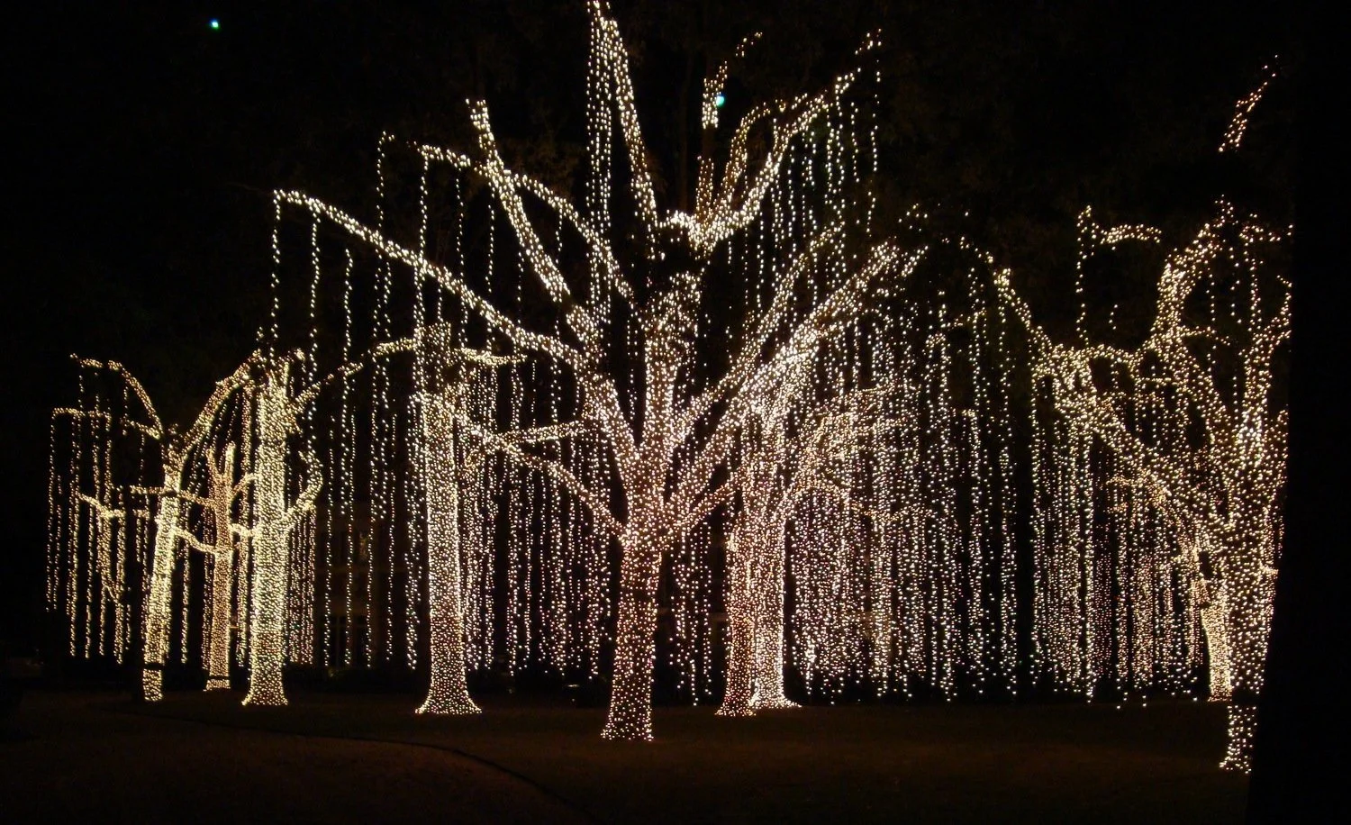 Landscape Lighting Overview