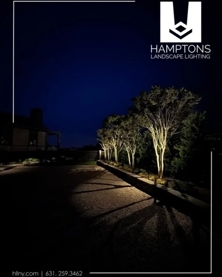 A grand entrance, even after dark.

This entry lighting was designed to do more than guide guests up the driveway. It introduces the home in a bold yet refined way, using layered tree uplighting and subtle shadow to create a sense of elegance and ant