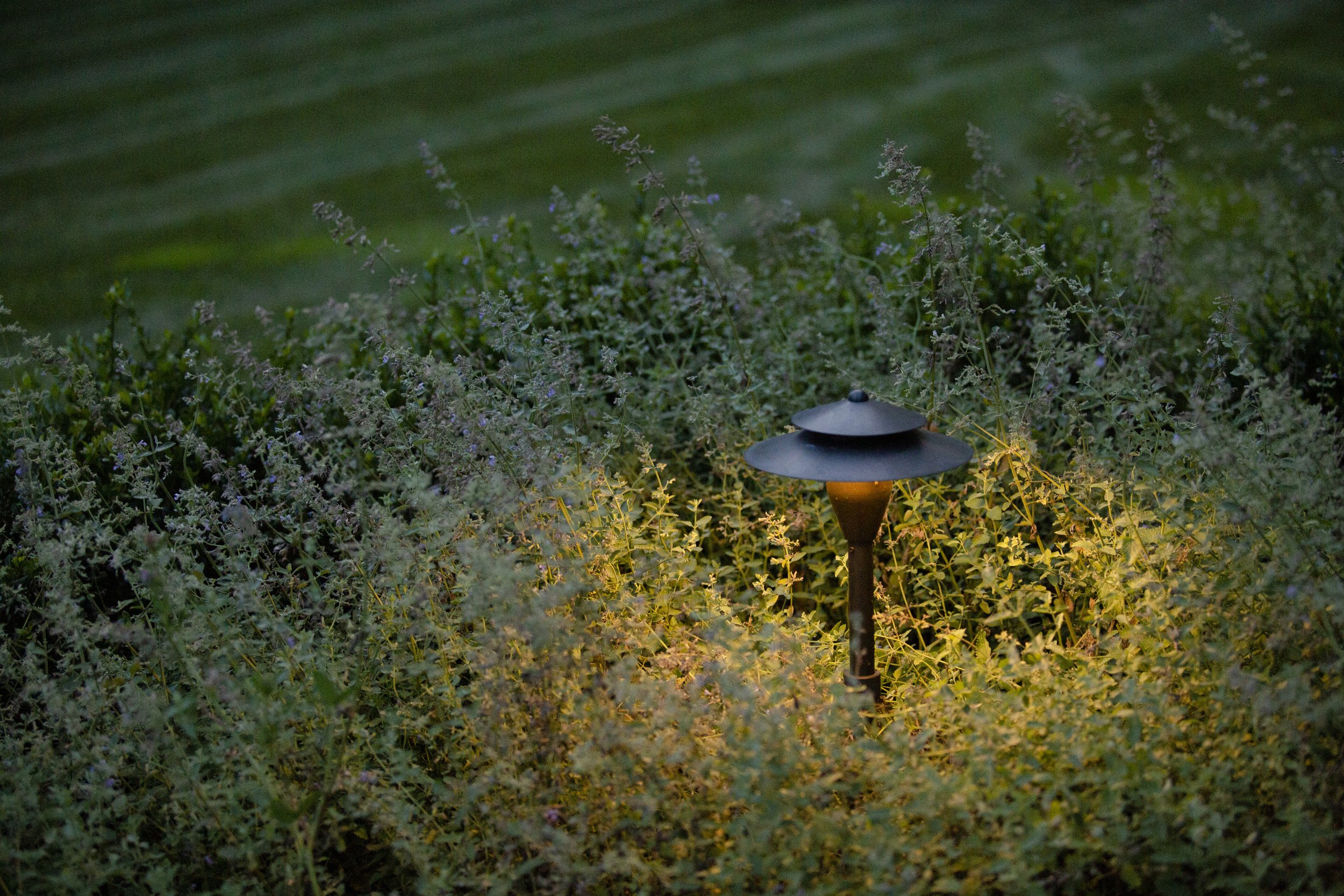 Coastal Source Double Tiered Path Light in garden.jpg