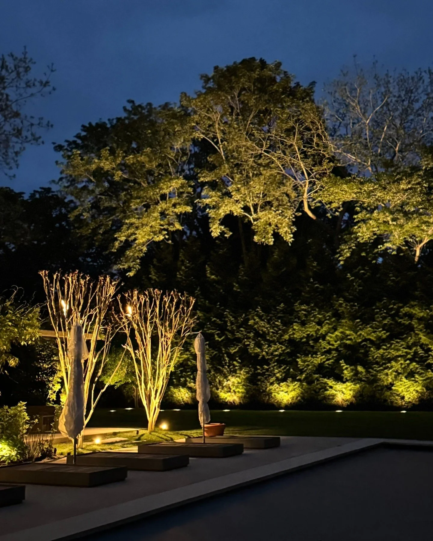 There's something magical about a perfectly lit path home.

Our designer used precise uplighting to sculpt each tree, creating a dramatic entrance that feels both grand and welcoming. This is the kind of detail that transforms your property at night&