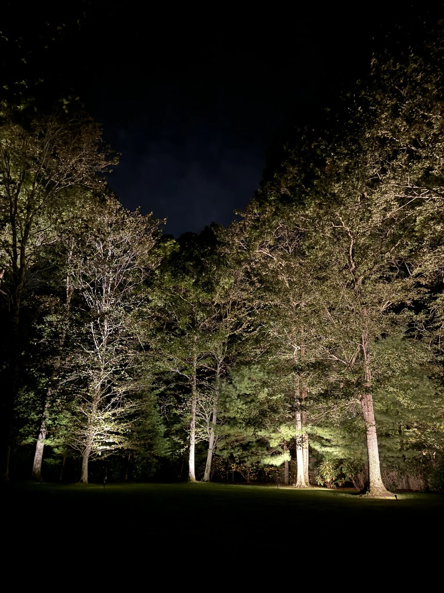 How We Guide Lighting Without Pushing Products