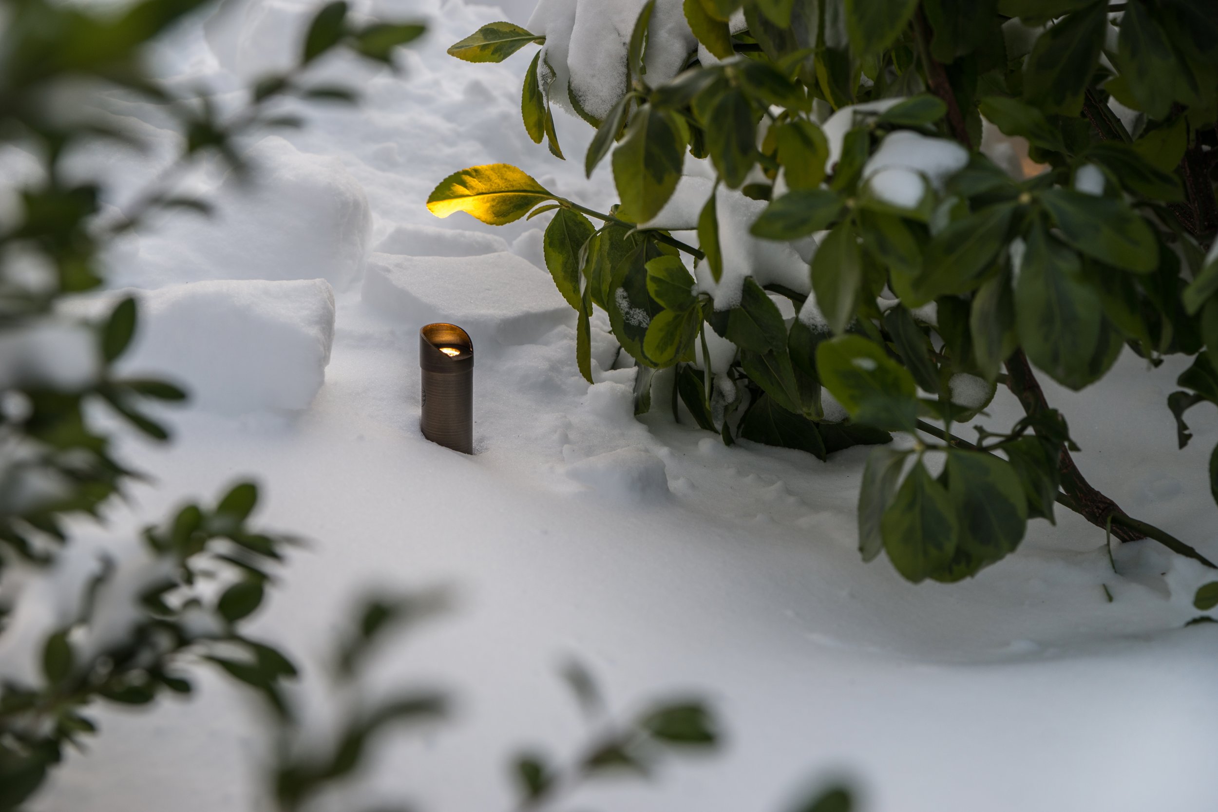 Coastal Source FLEX-NICHE-FIXED-UP-LIGHT-SNOW.jpg