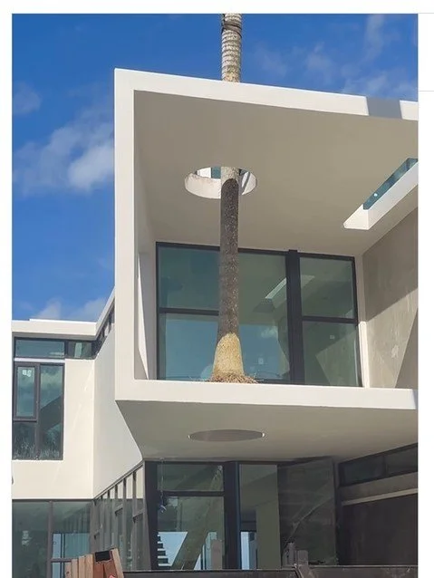 It is amazing what lengths we will go to! Watch as a tree is installed in the middle of a home's interior. 

https://zurl.co/pLkMp

Just a little landscaping, nothing much! 

https://zurl.co/XJhma