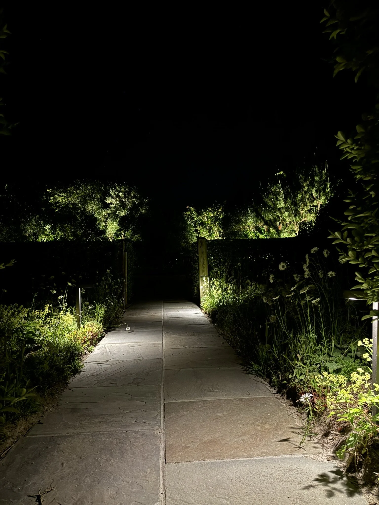 Seasonal Plant Growth and Landscape Lighting
