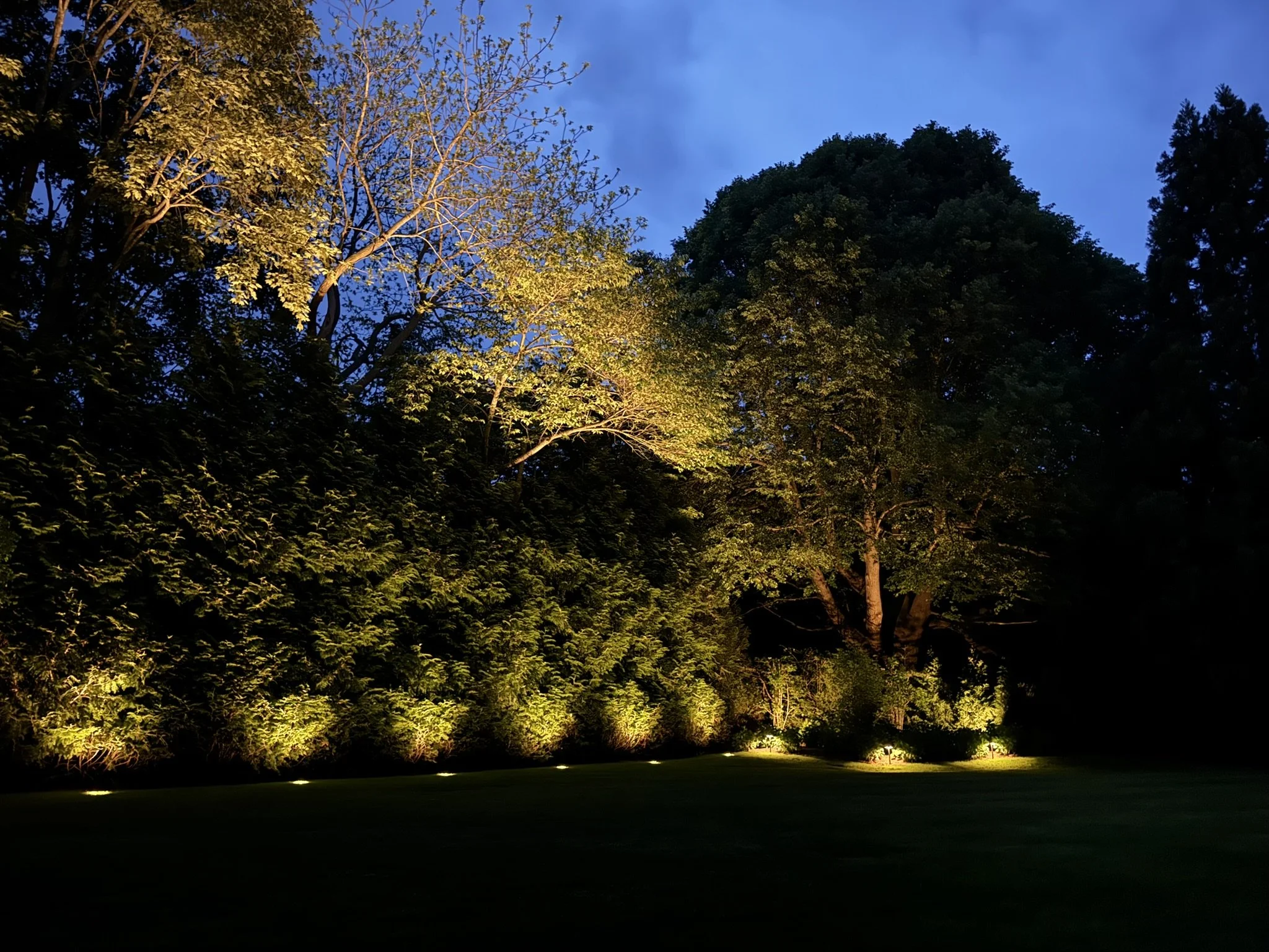 Why Landscape Lighting Should Be Planned Early