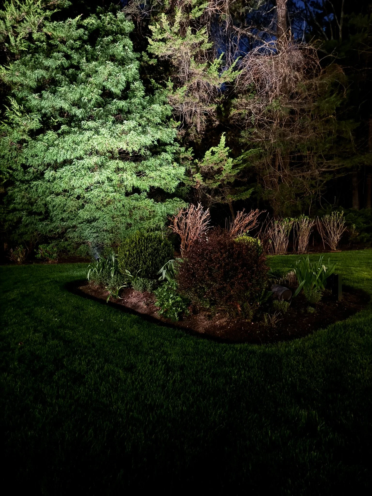 Bring Your Evenings to Life With Outdoor Entertainment Lighting From HLL