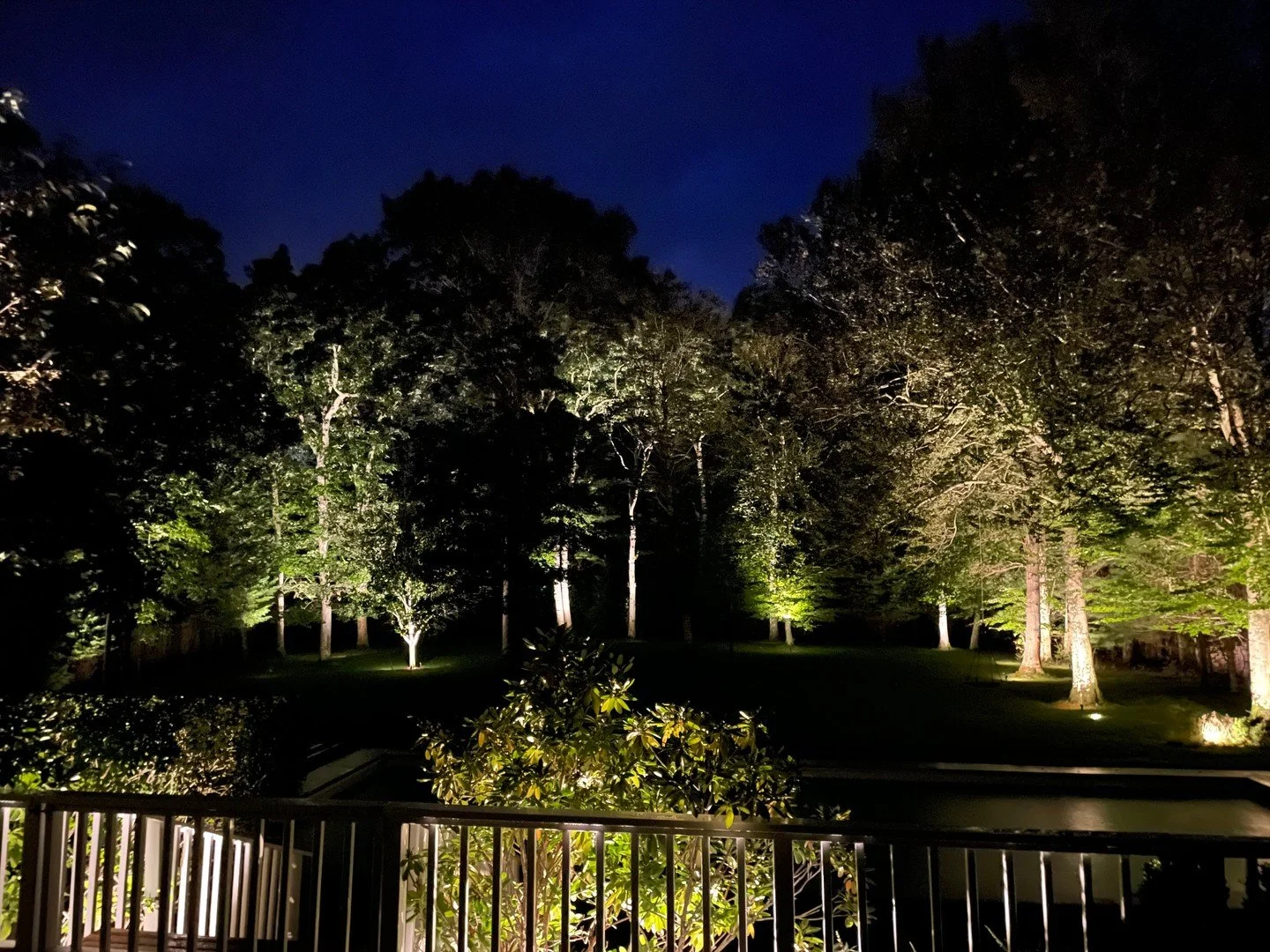 The garden doesn't go quiet at night. It softens.

Uplit branches, a bridge worth lingering on, and a pond that gives the whole composition back to you in reflection. This is what we mean when we say a landscape should look as considered after dark a