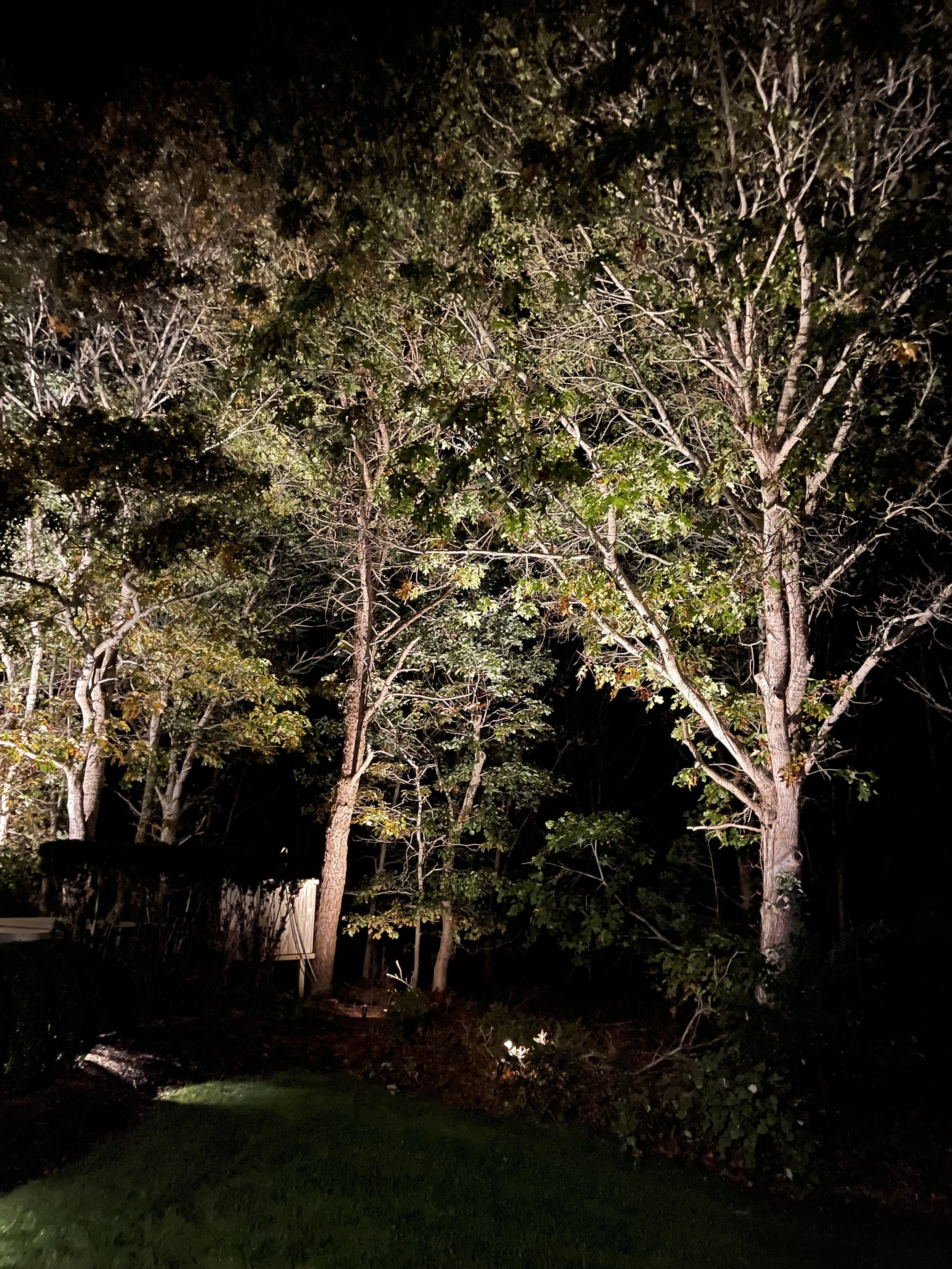 lighting-backyard-installed-hero-hll-0955.jpg