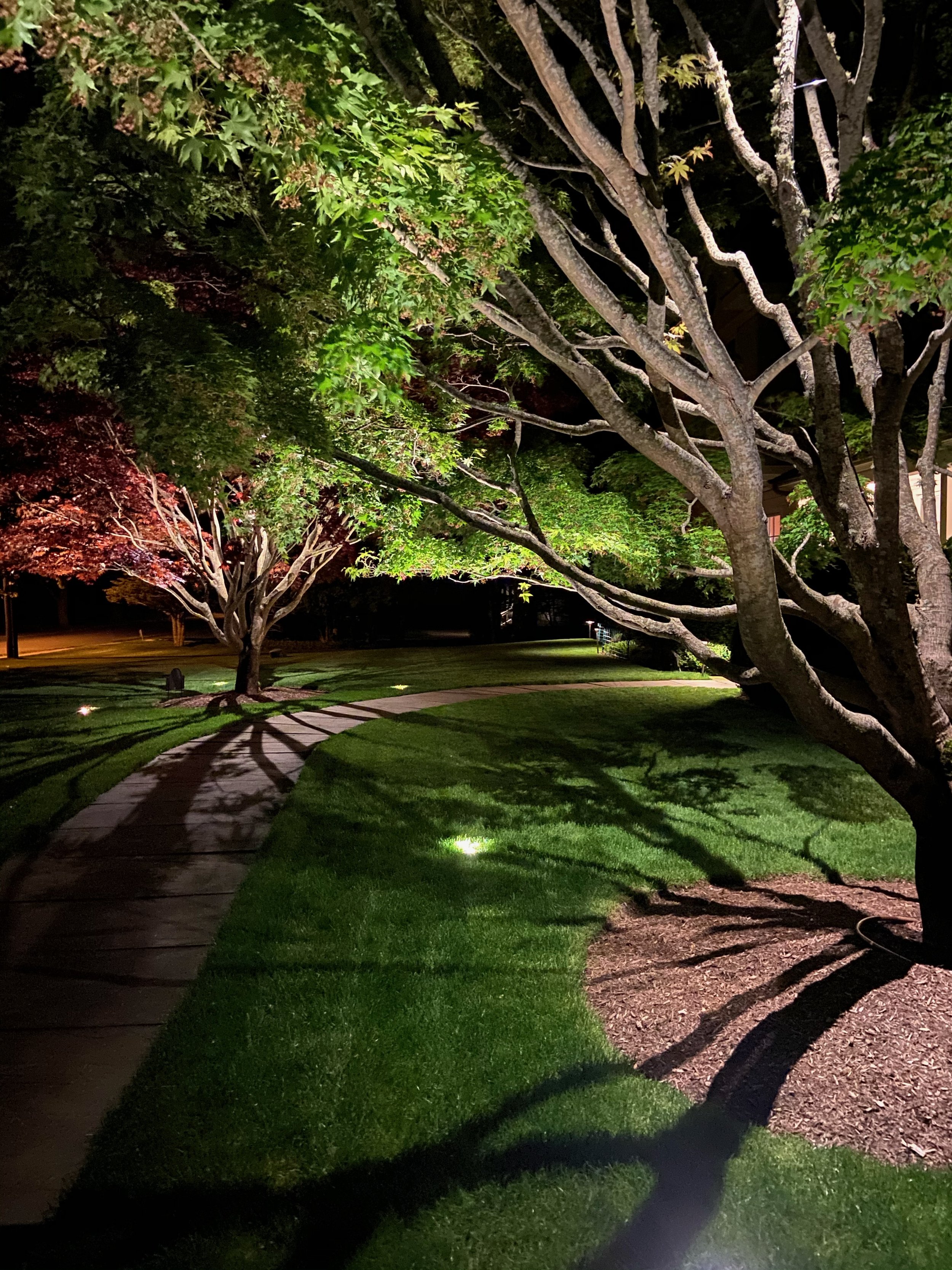 landscape-lighting-backyard-installed-hero-hll-0945.jpg