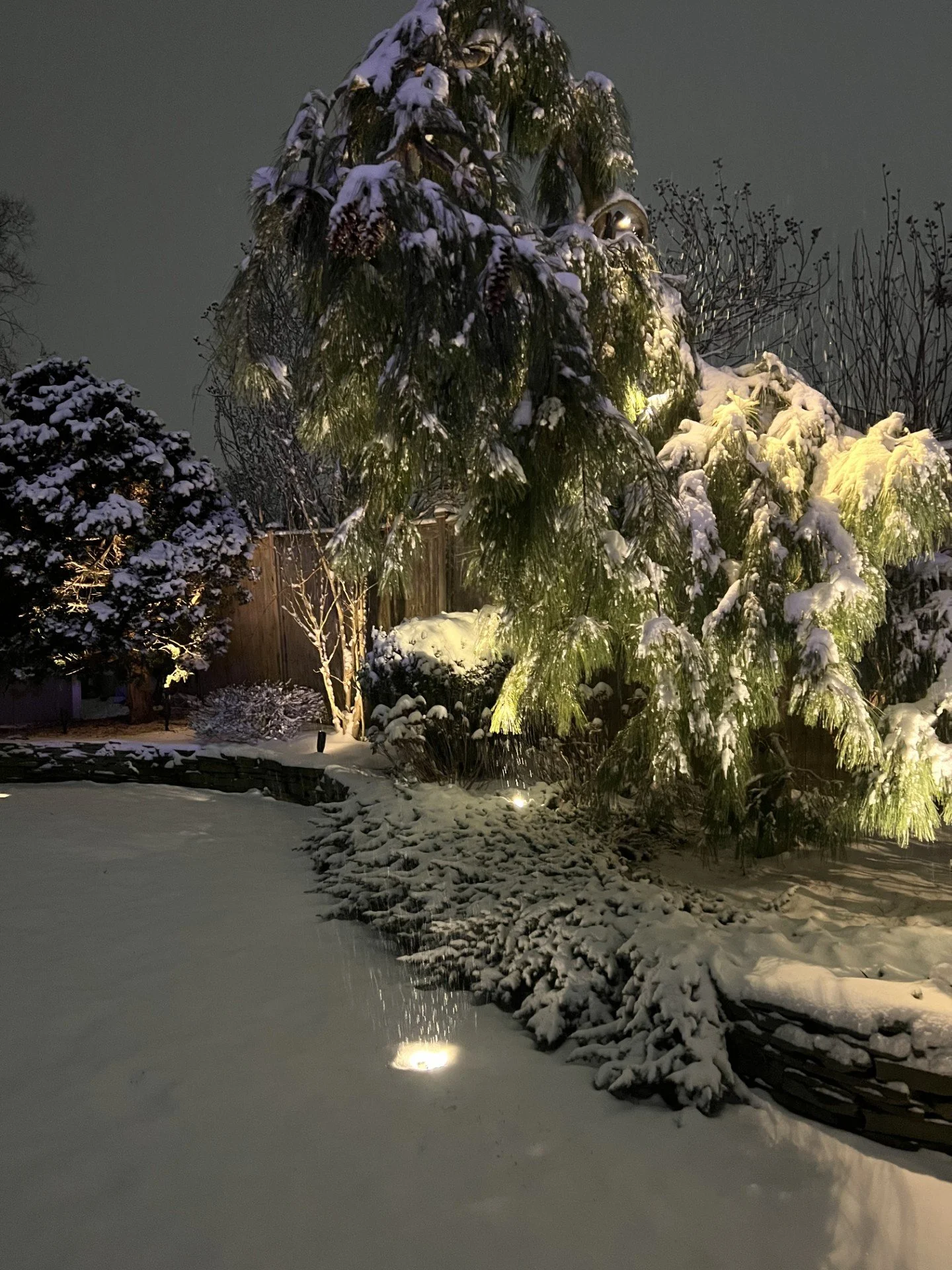 2026 Outdoor Lighting Trends in the Hamptons: Beauty, Resilience, and Long-Term Value