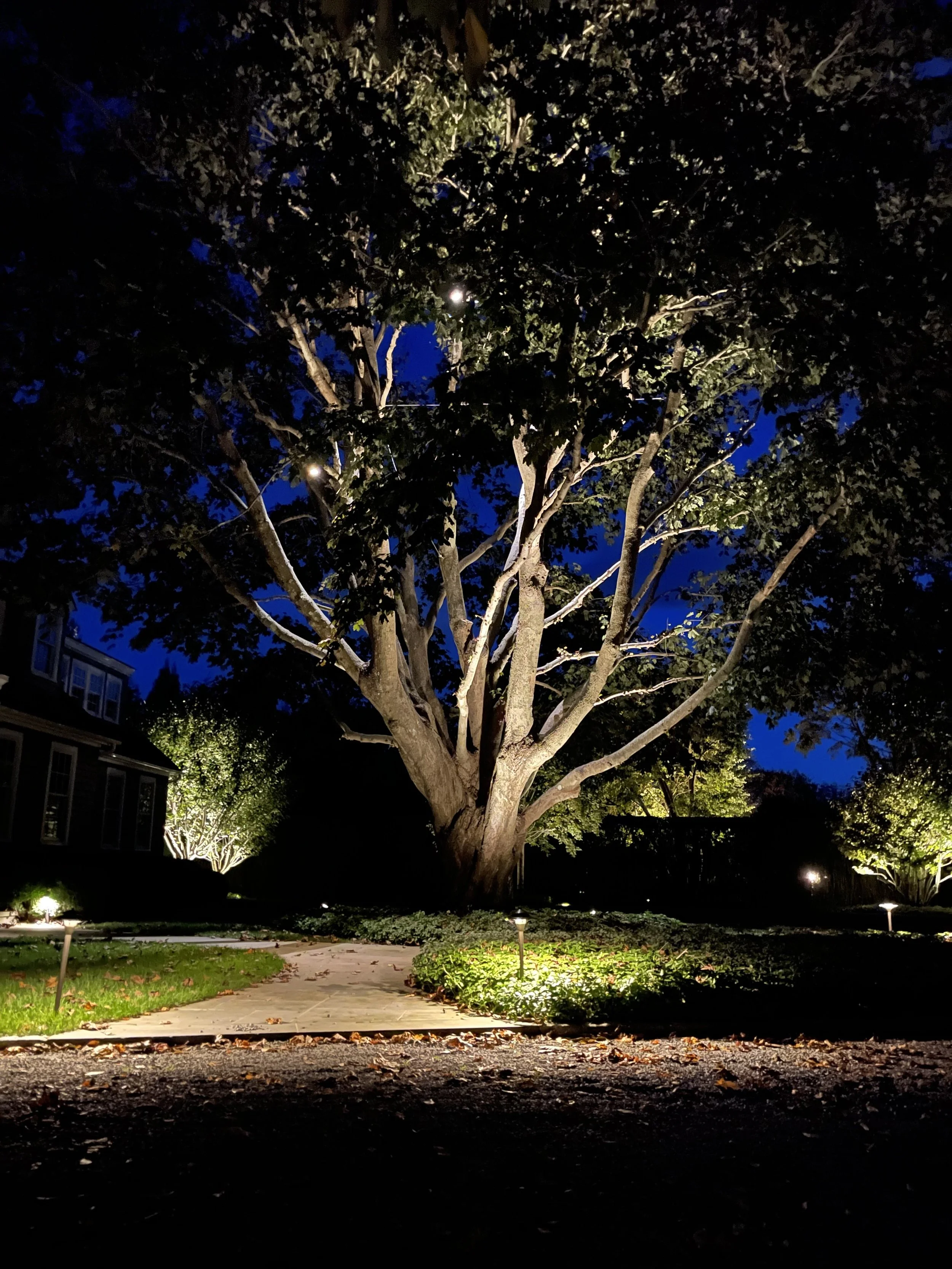 Refined restraint in lighting