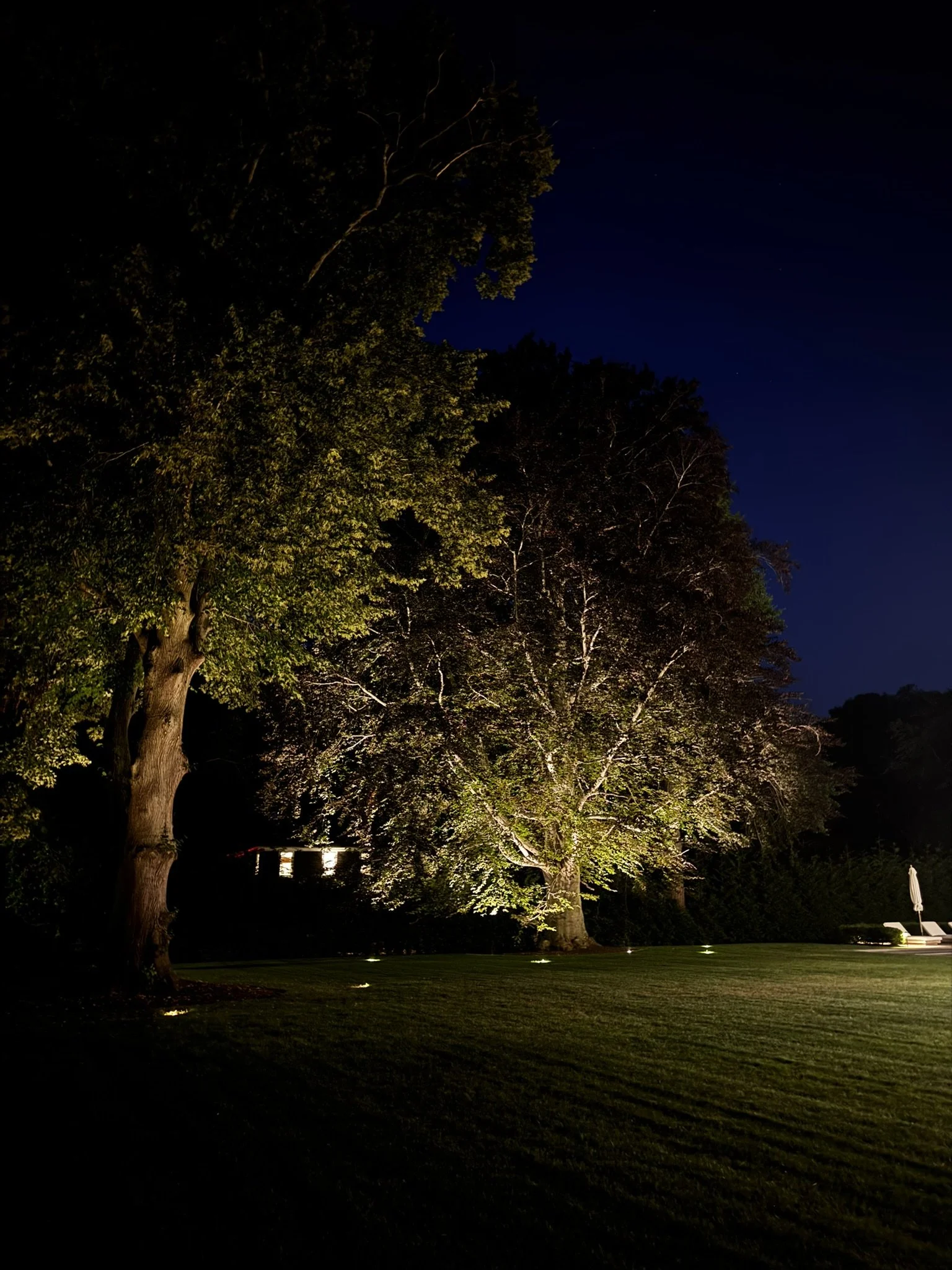 What Happens During a Professional Landscape Lighting Checkup?