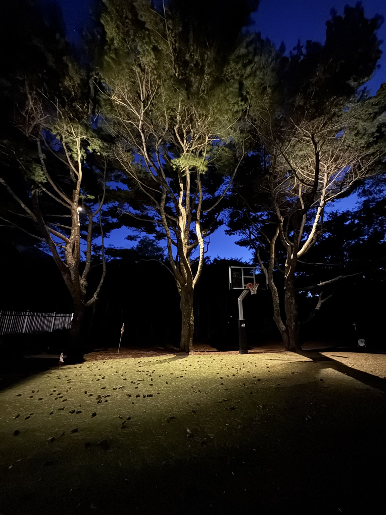 How We Design Luxury Lighting for Hamptons Homes