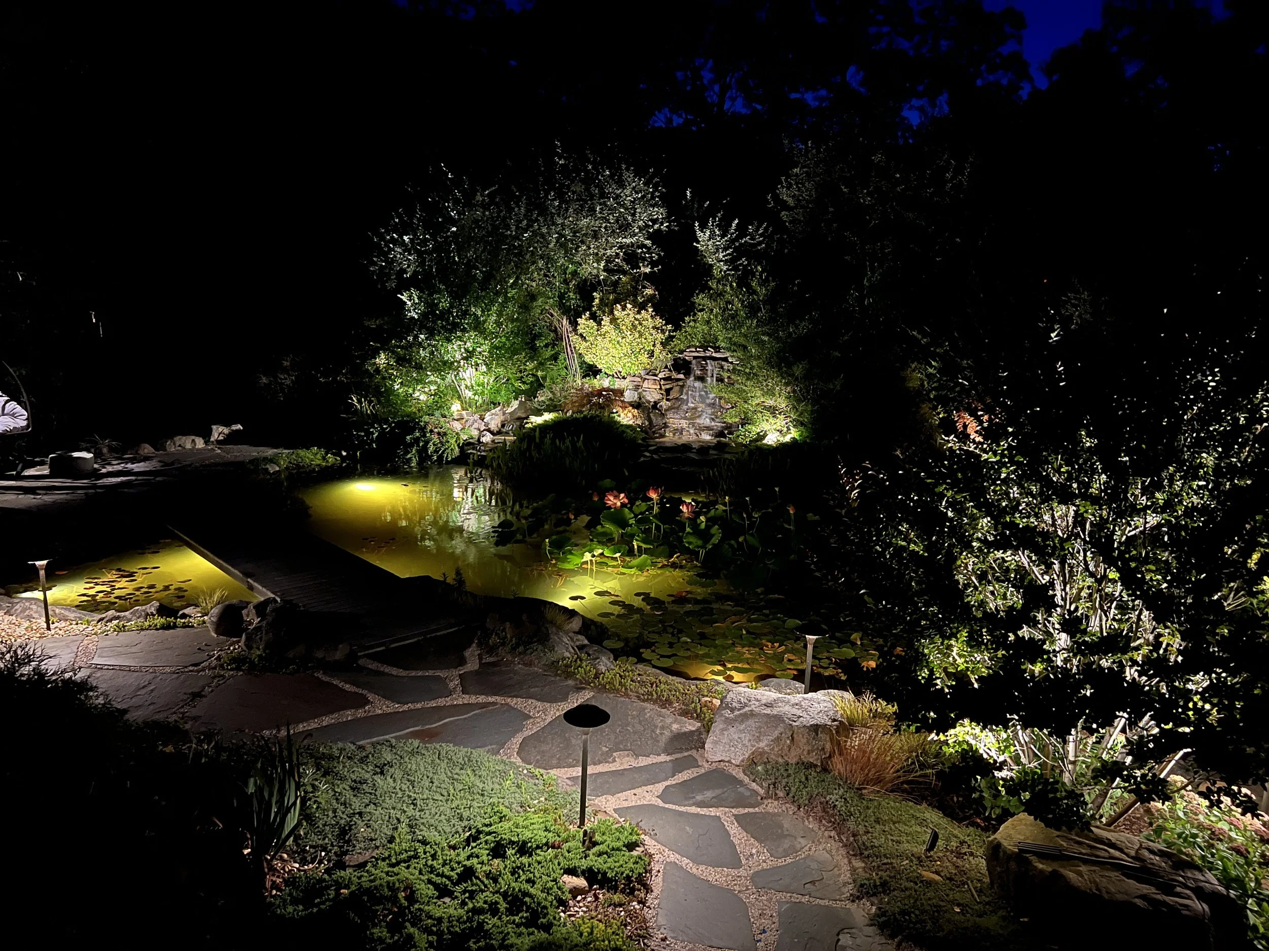 backyard landscape lighting design