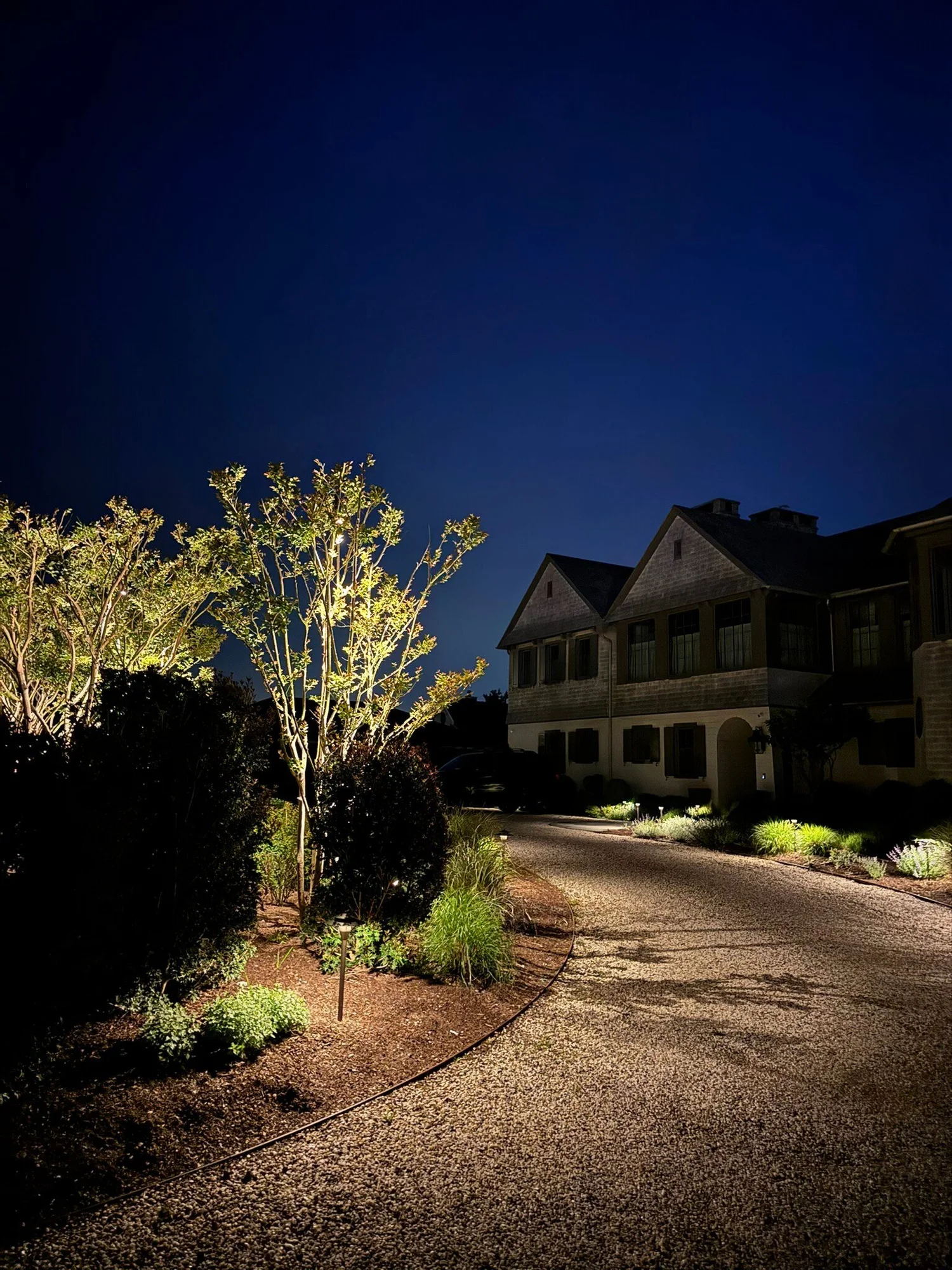 Driveway lighting at Westhampton Hamptons estate — uplighting on trees lining the approach at night