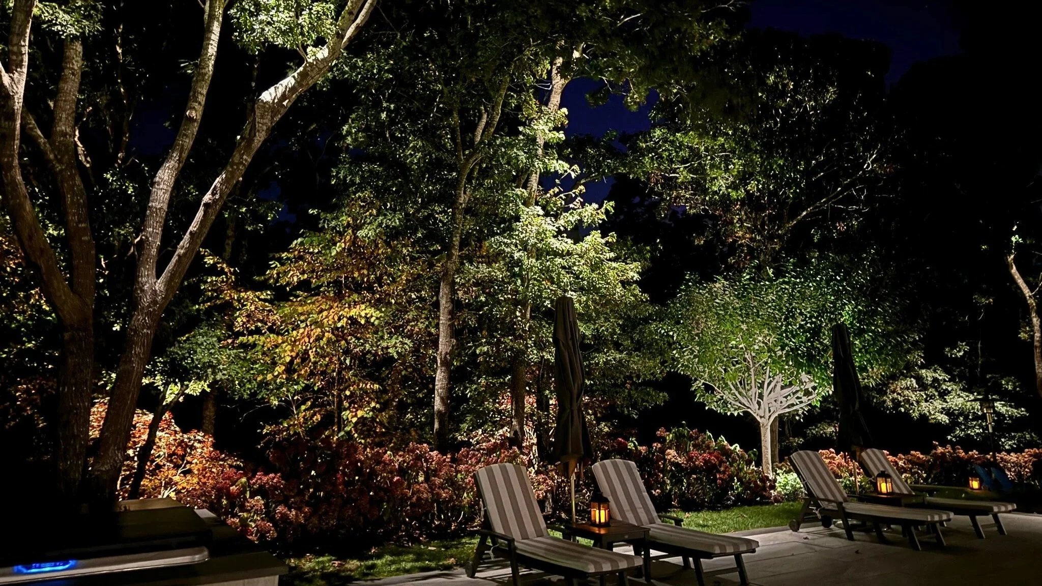 East Hampton landscape lighting highlighting trees and gardens at night with seasonal adjustments for fall and winter.