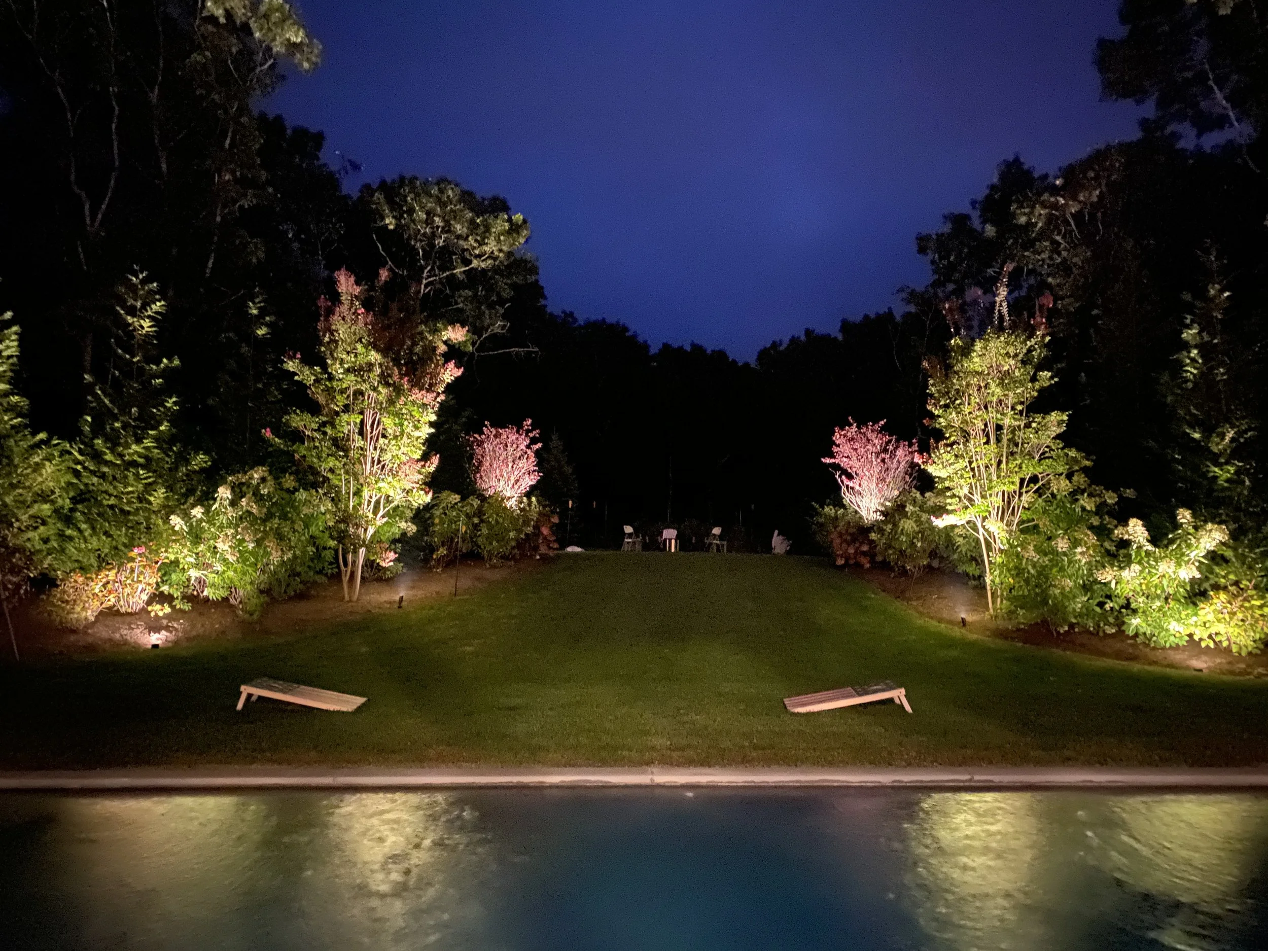 landscape lighting that enhances plants' health