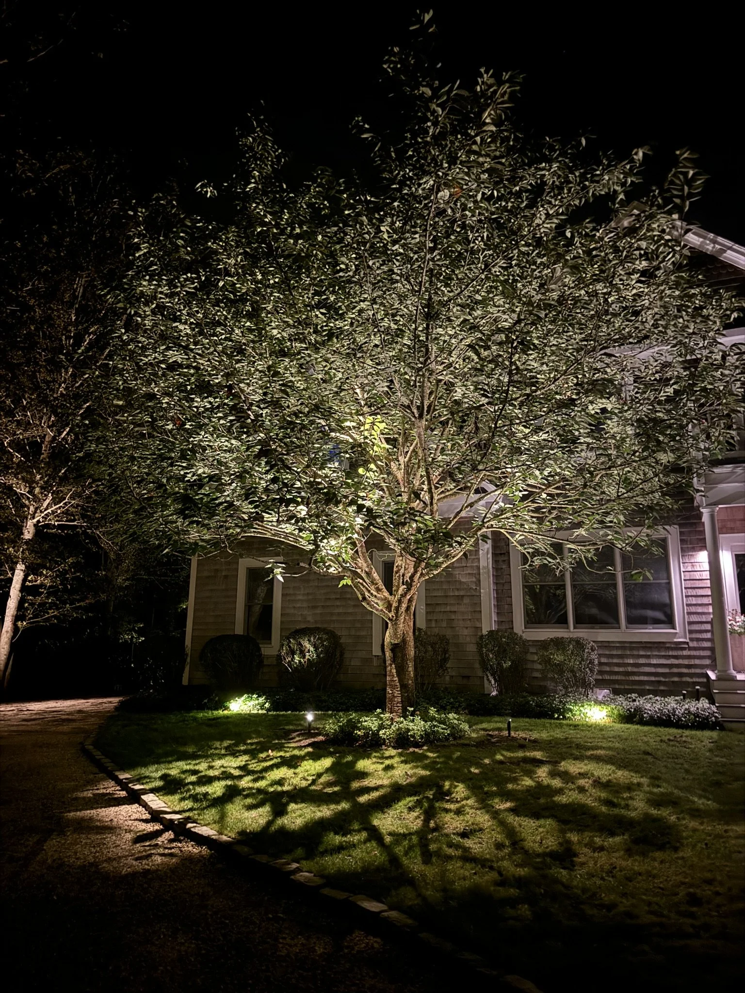tree lighting as part of your outdoor lighting