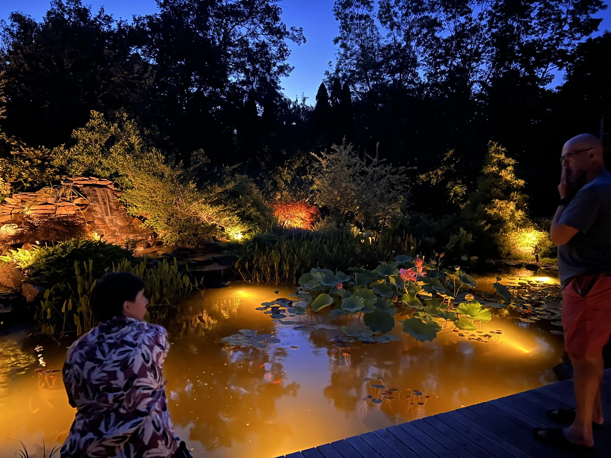 backyard natural landscape lighting