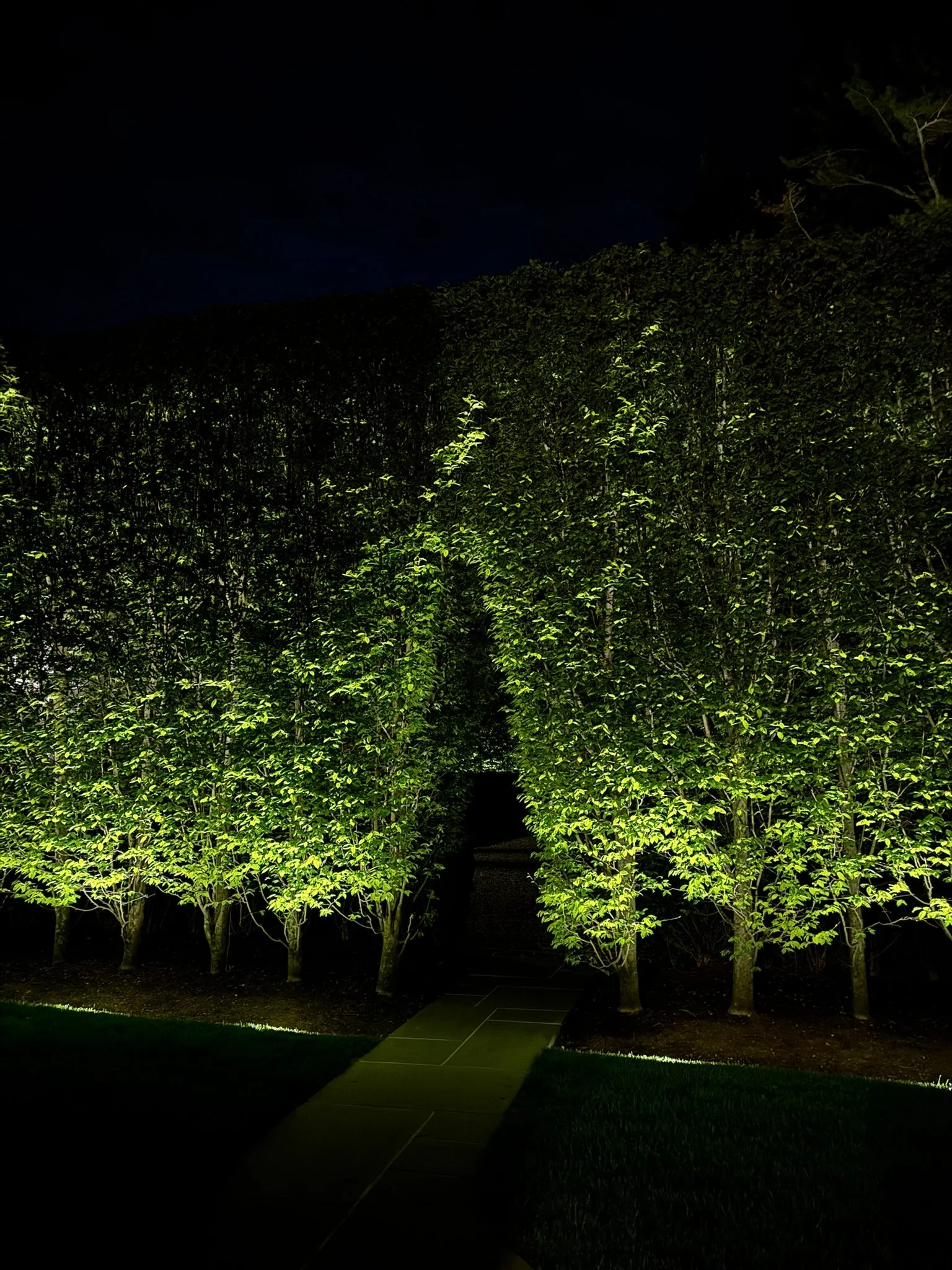 revealing a property after dark with landscape lighting