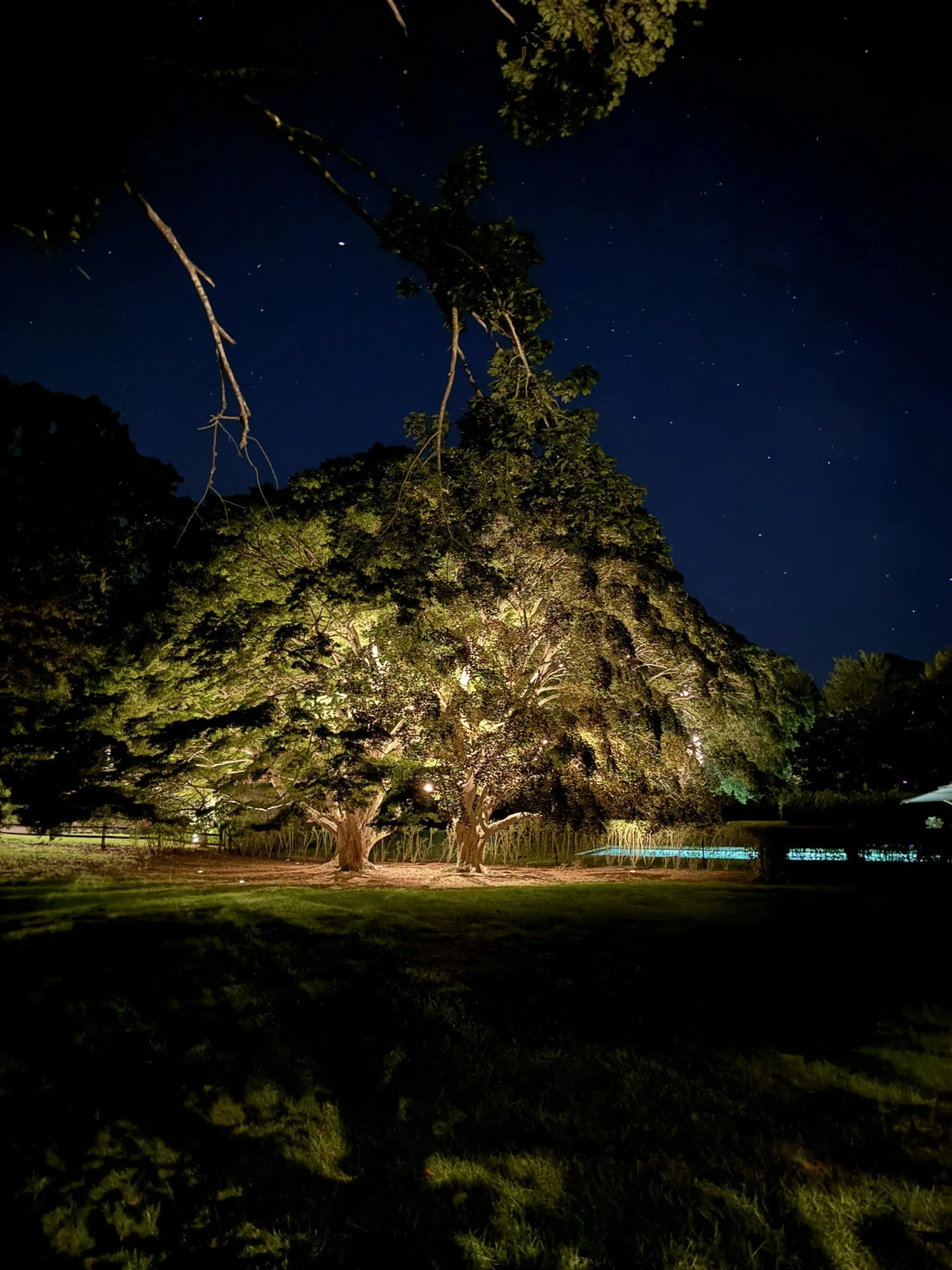 continuing the landscape lighting journey