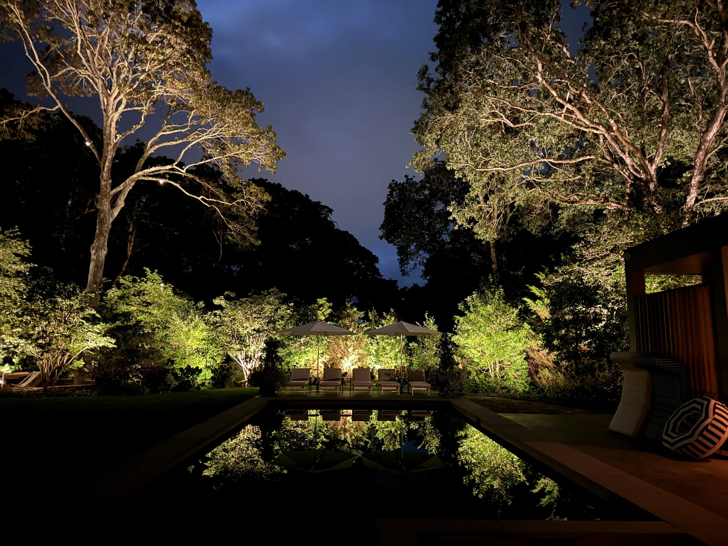 Mature tree and garden softly illuminated with landscape downlighting