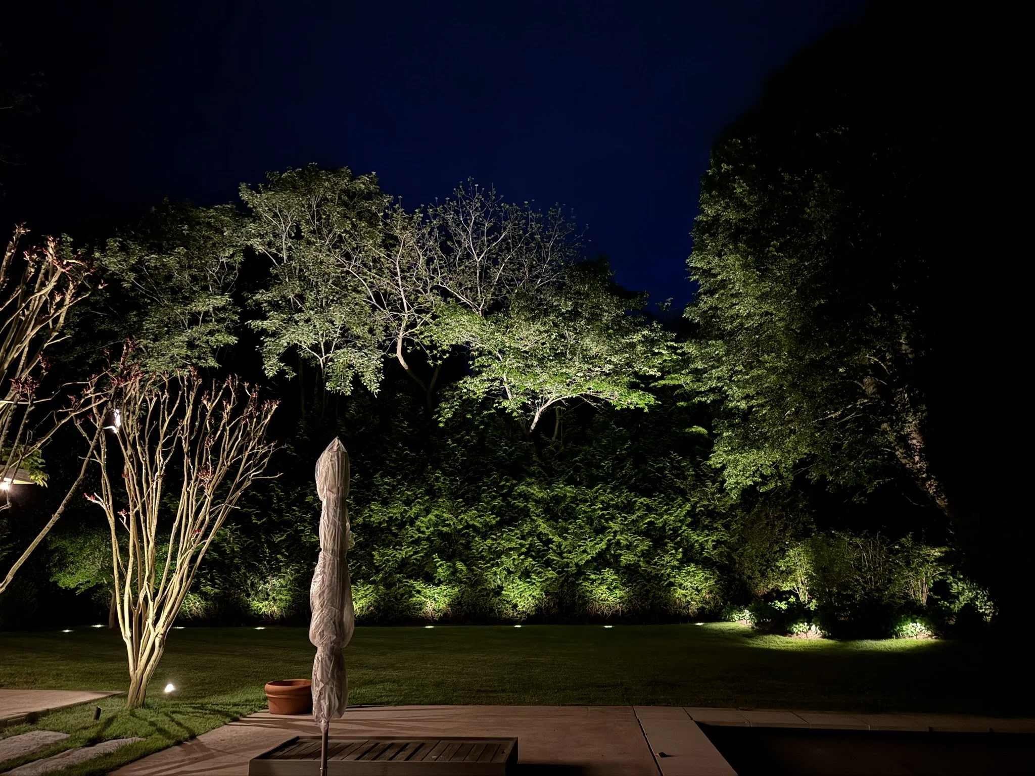 landscape lighting brings outdoor entertaingment to life