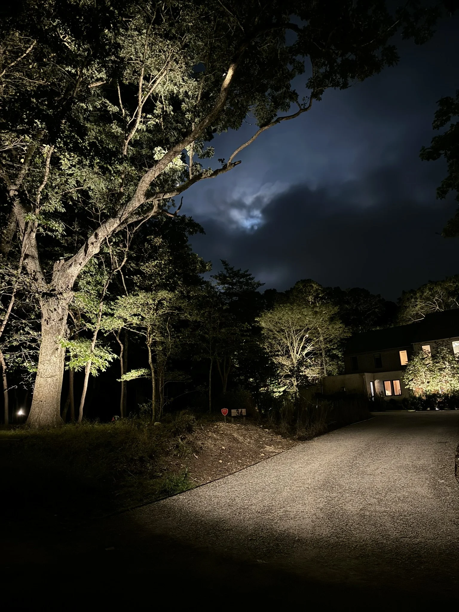 downlighting or moonlighting in outdoor luxury lighting