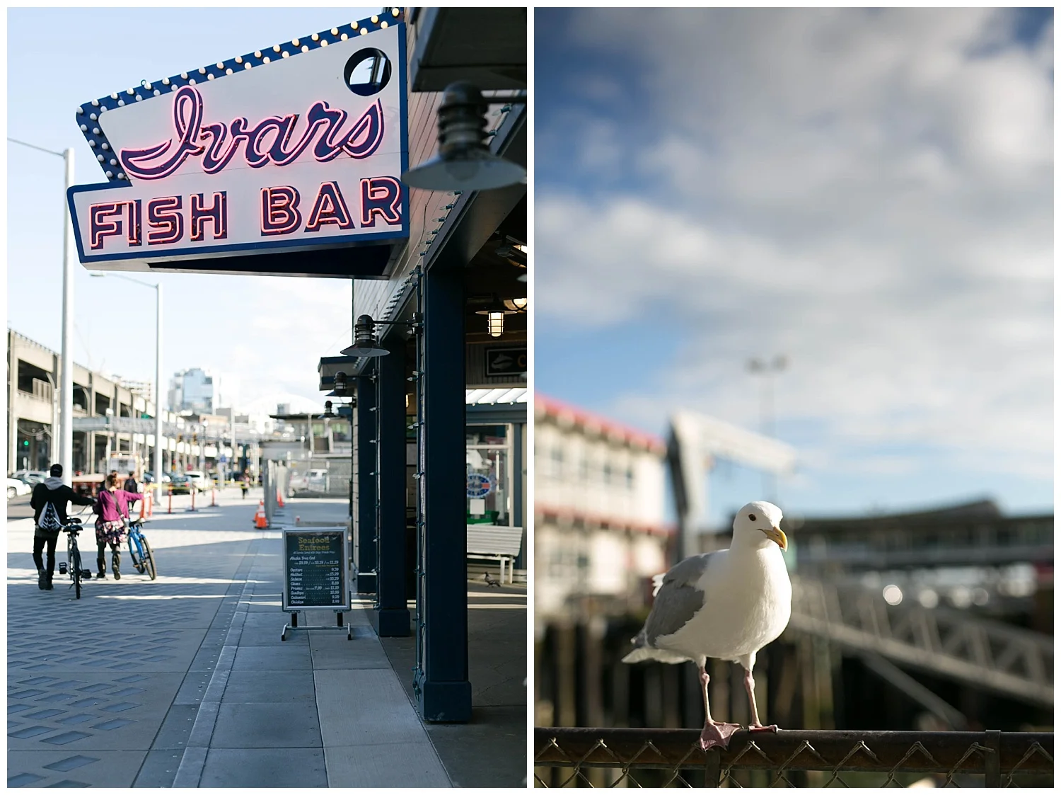 And now we move on to the most magical part of the day. Ivars Fish Bar has been around for almost 80 years and it is hard to tell what I loved more... the fish and chips were delicious but the SEAGULLS WERE AMAZING! They are super tame and love french fries almost as much as I do. 
