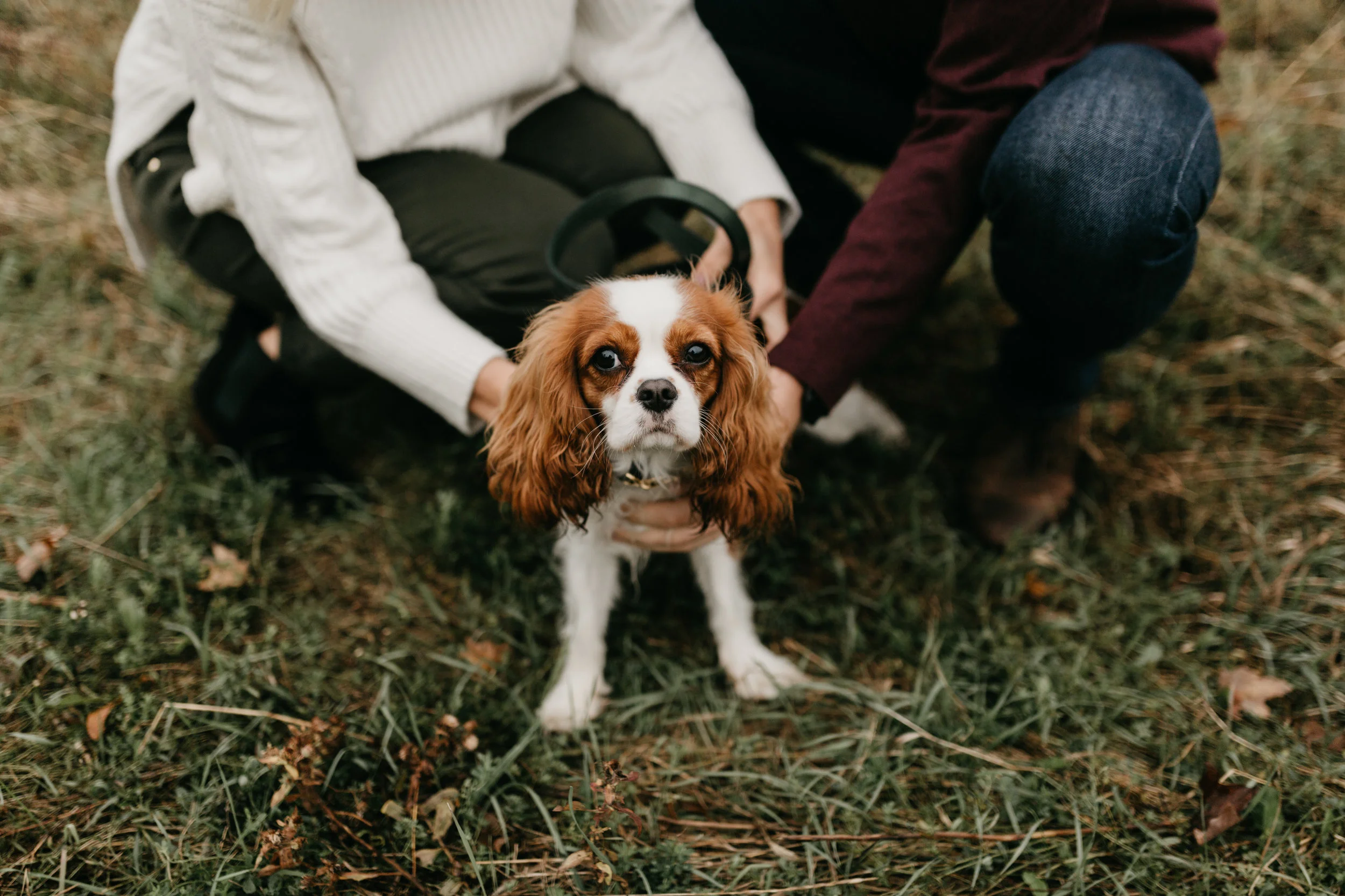 Emily + Cam Engaged-140.jpg