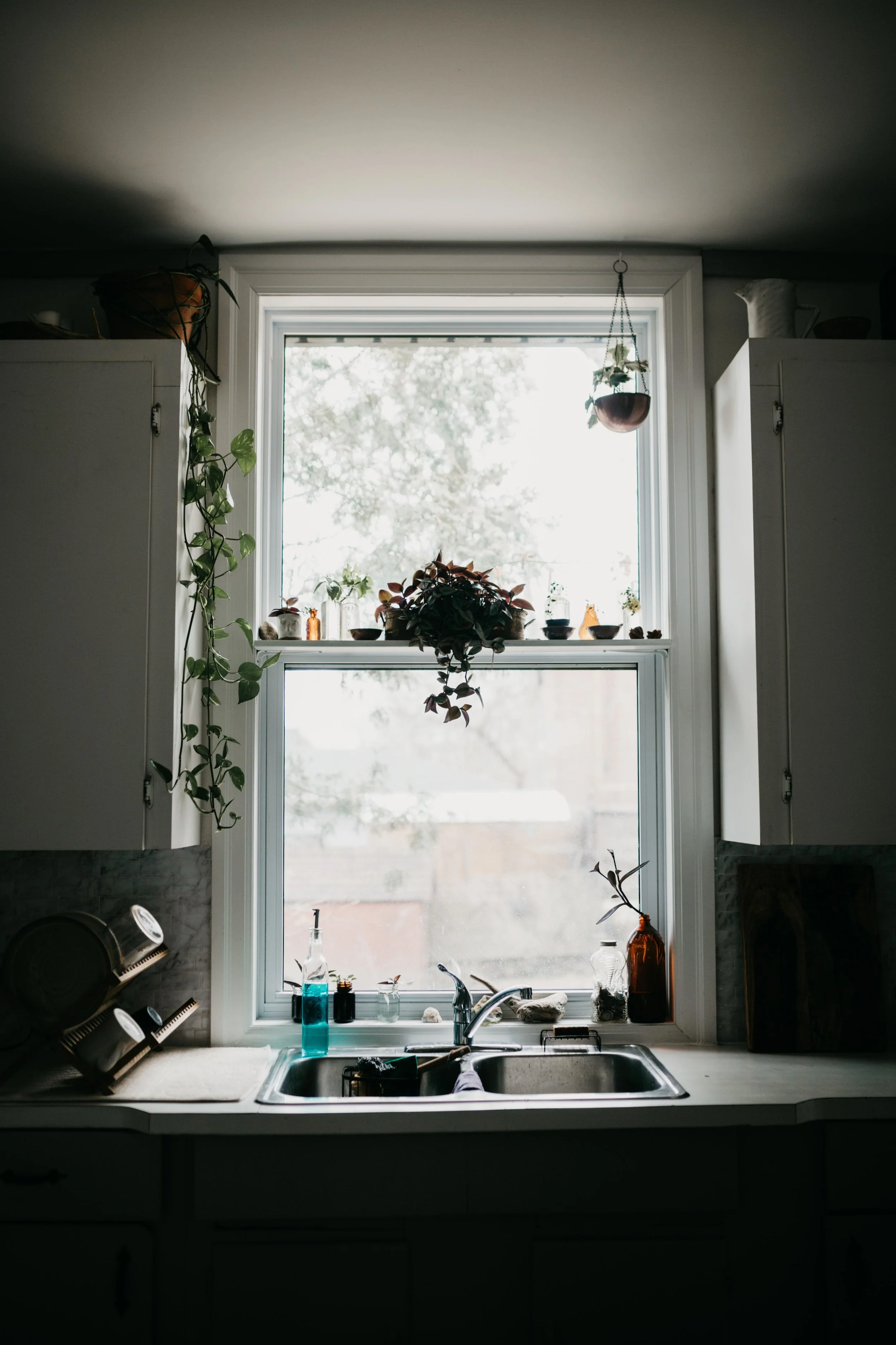Abby At Home-21.jpg