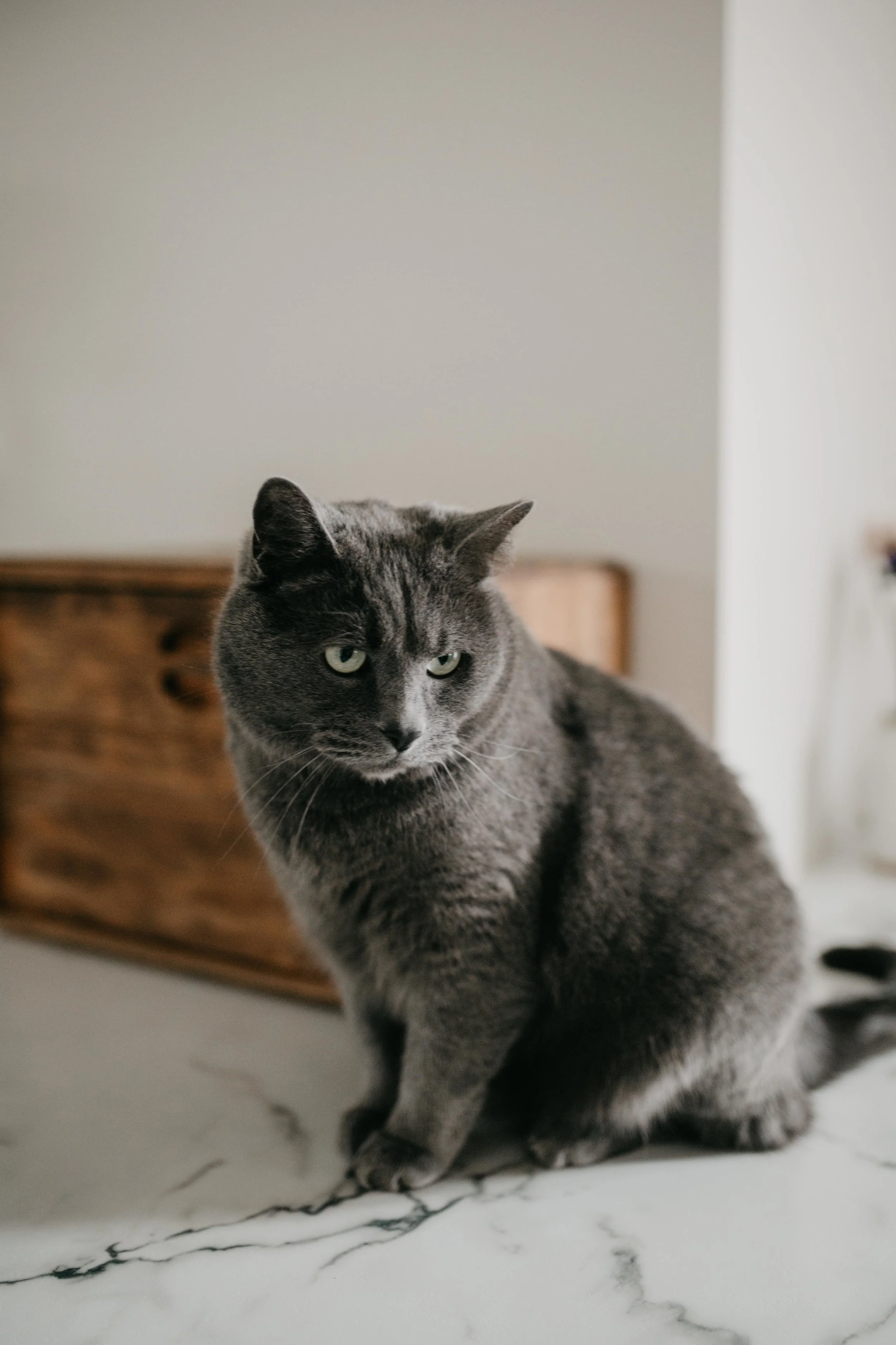Abby At Home-57.jpg