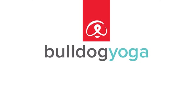 Bulldog Yoga