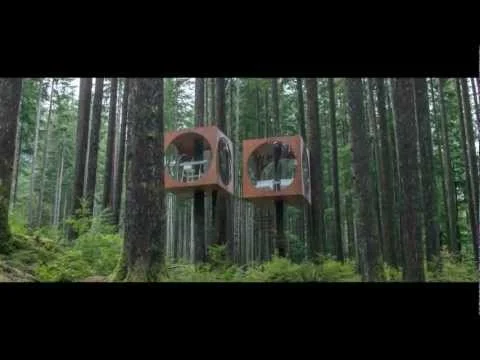 Reignite Your Passion