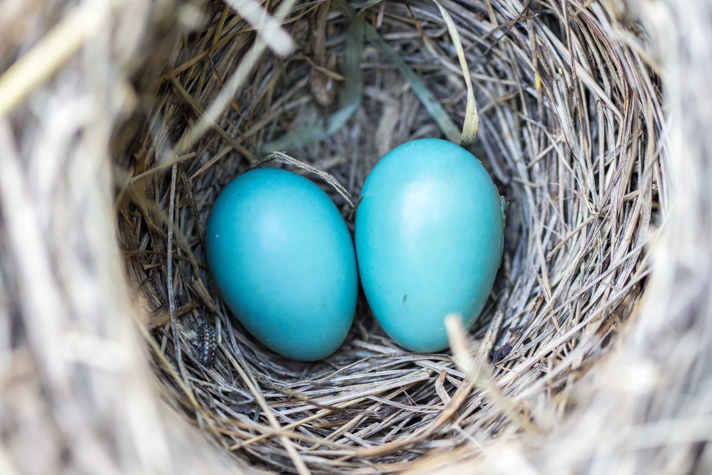 What Will You Do to Prepare for Spring?