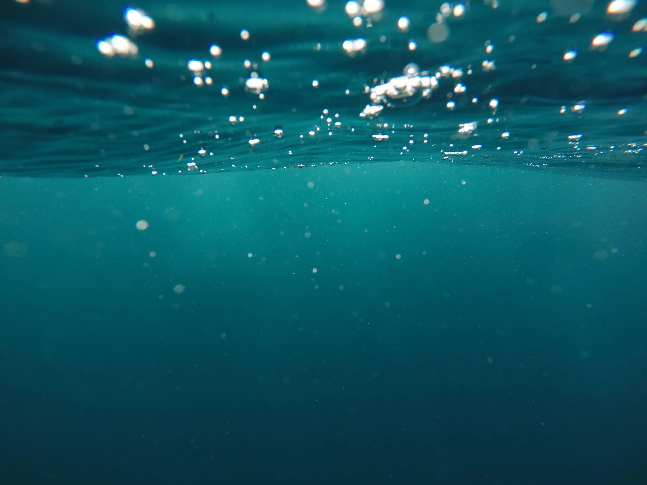 Photo by Jeremy Bishop on Unsplash