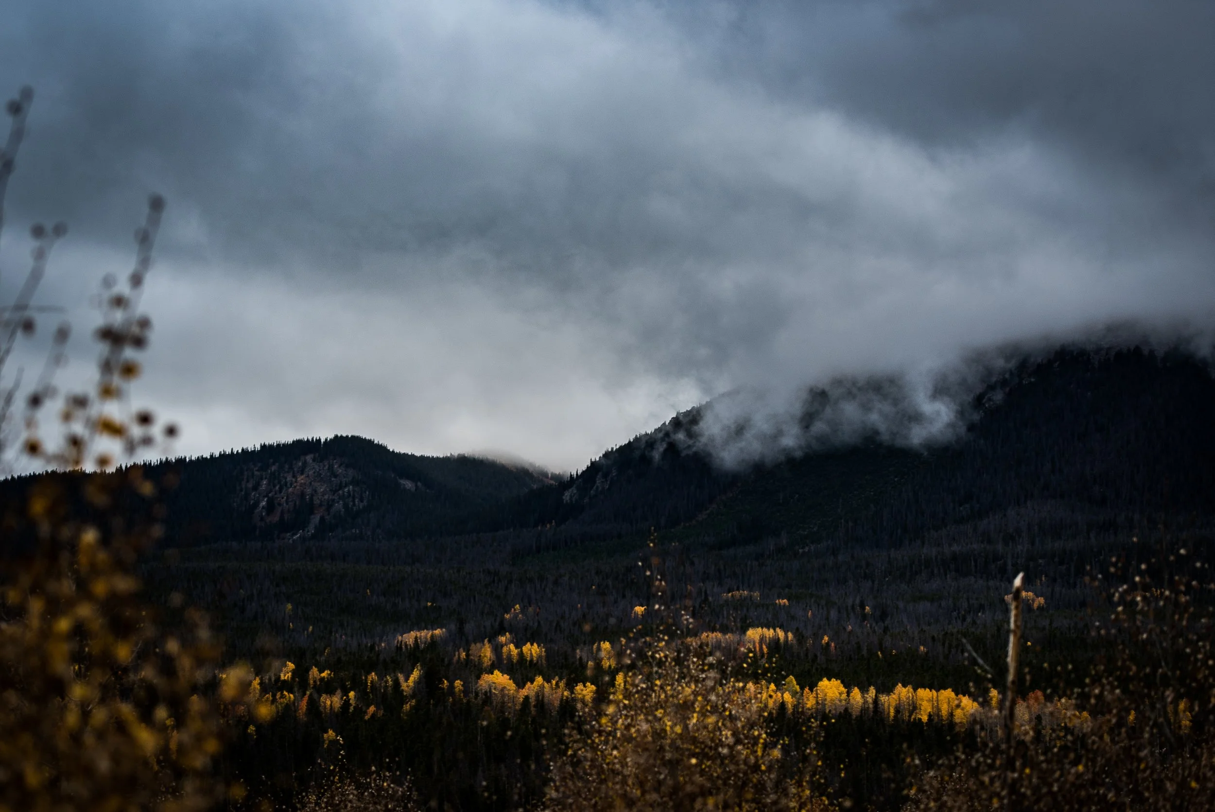 Photo by Nathan Anderson on Unsplash