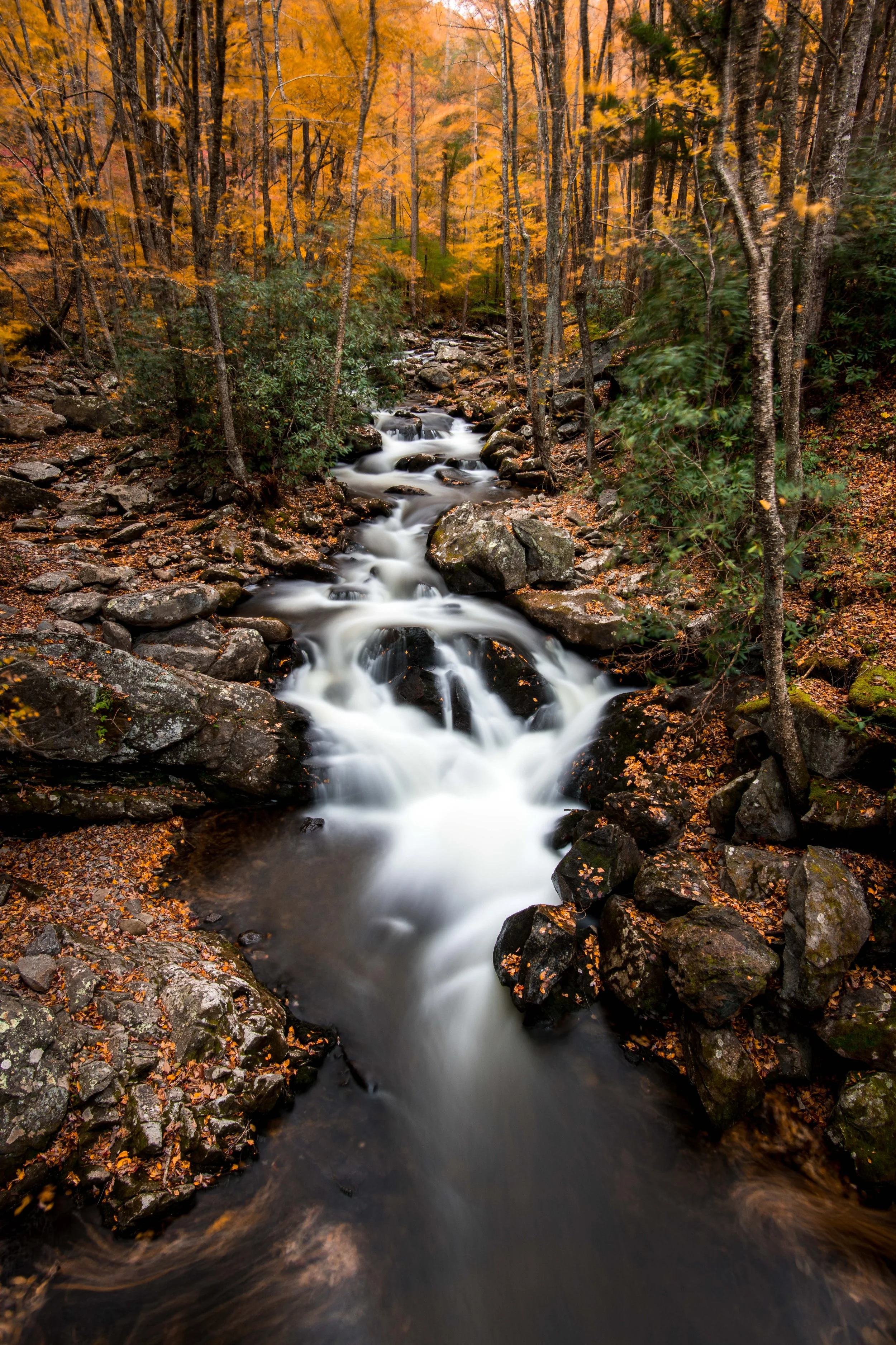 Photo by Nathan Anderson on Unsplash