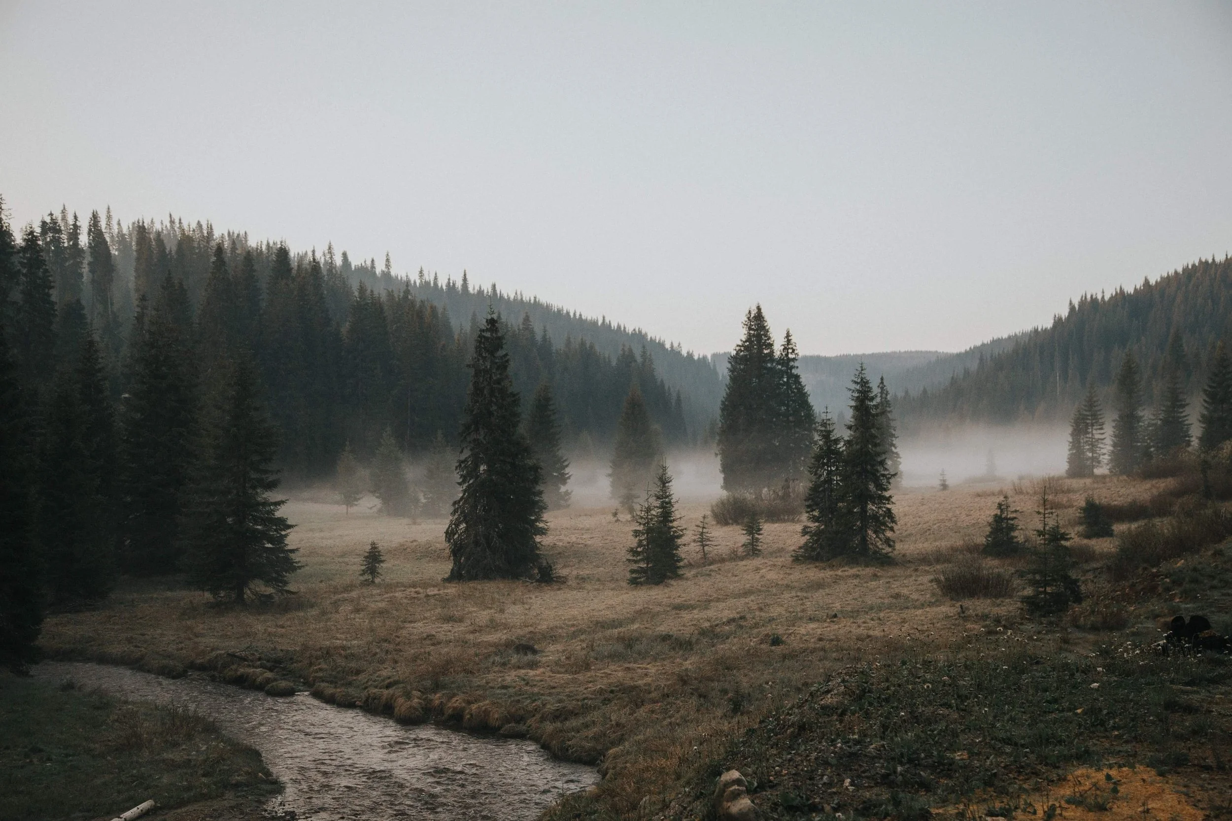 Photo by Guillaume Demeyere on Unsplash
